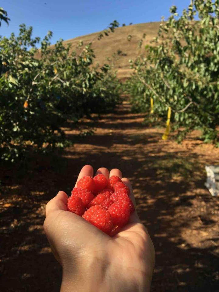 הצימר של אורנה
