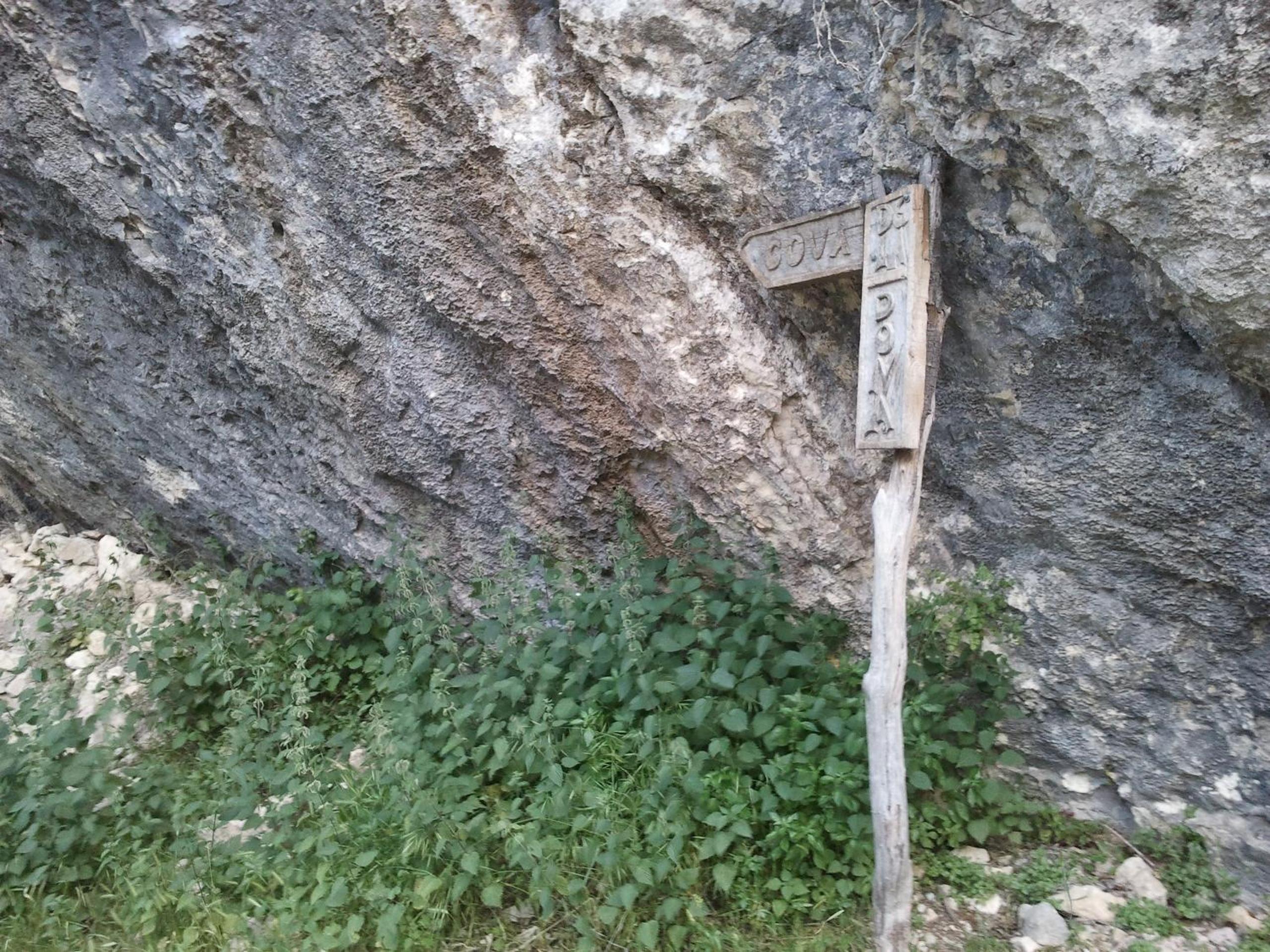 Photo 31