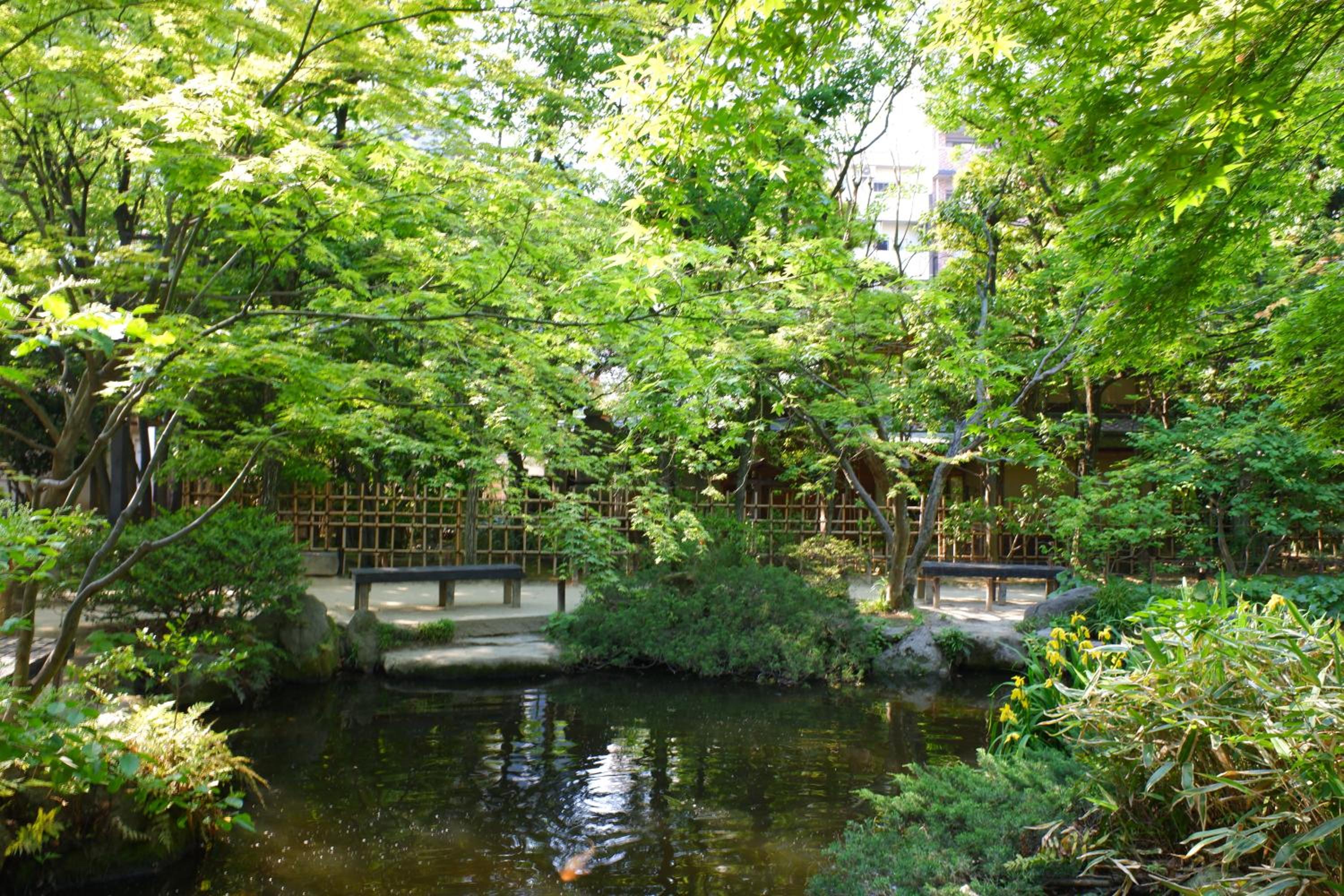 Fukuoka Guest House Jikka