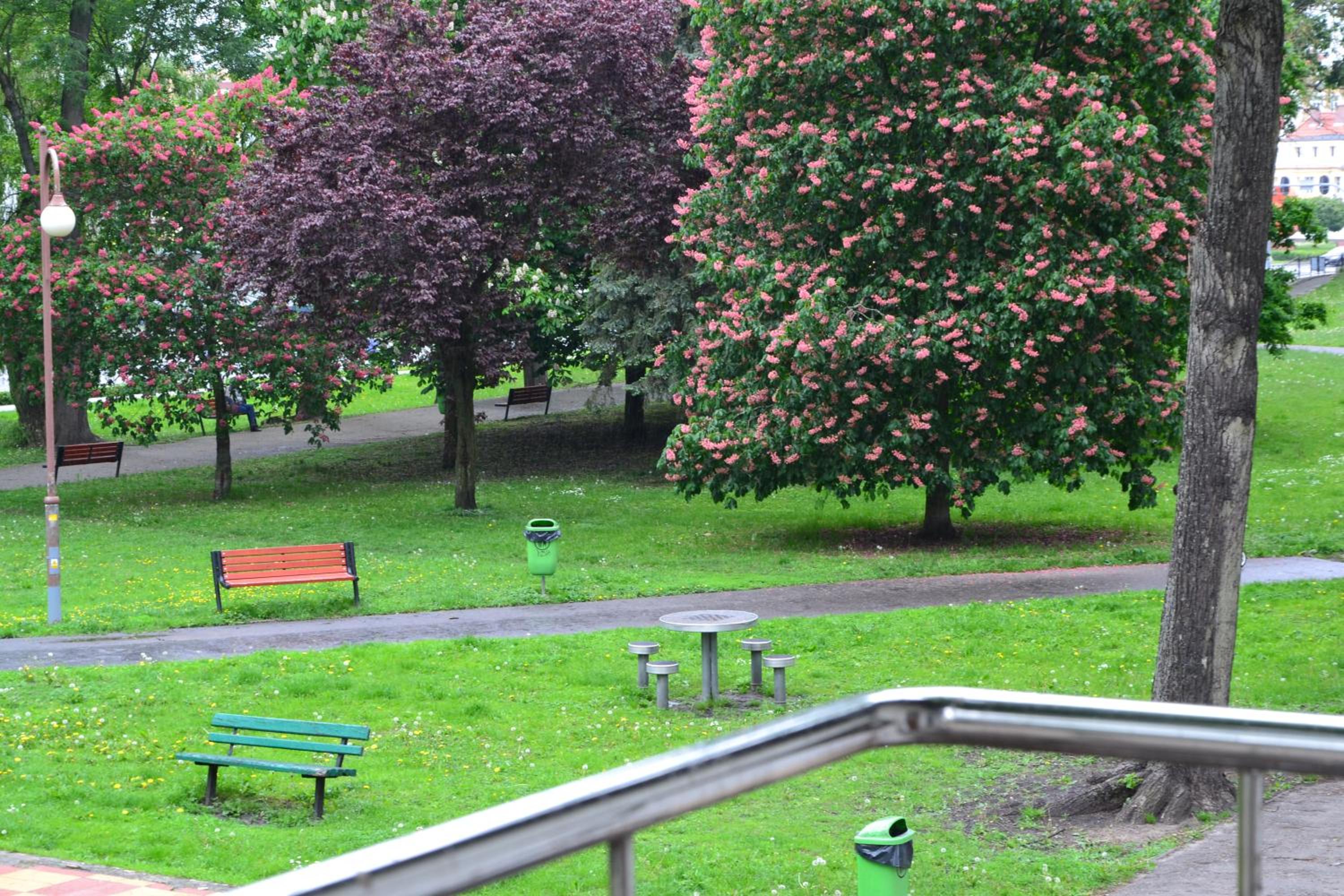 Apartament w Parku Planty view 5