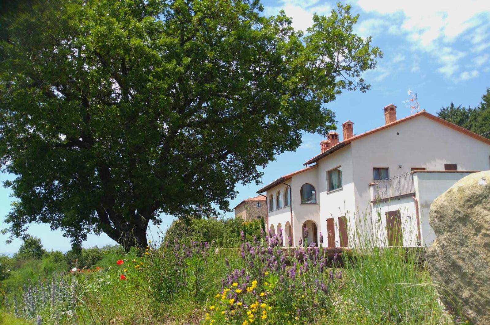 GuestHost - Casa vacanze - La quercia del Re view 2