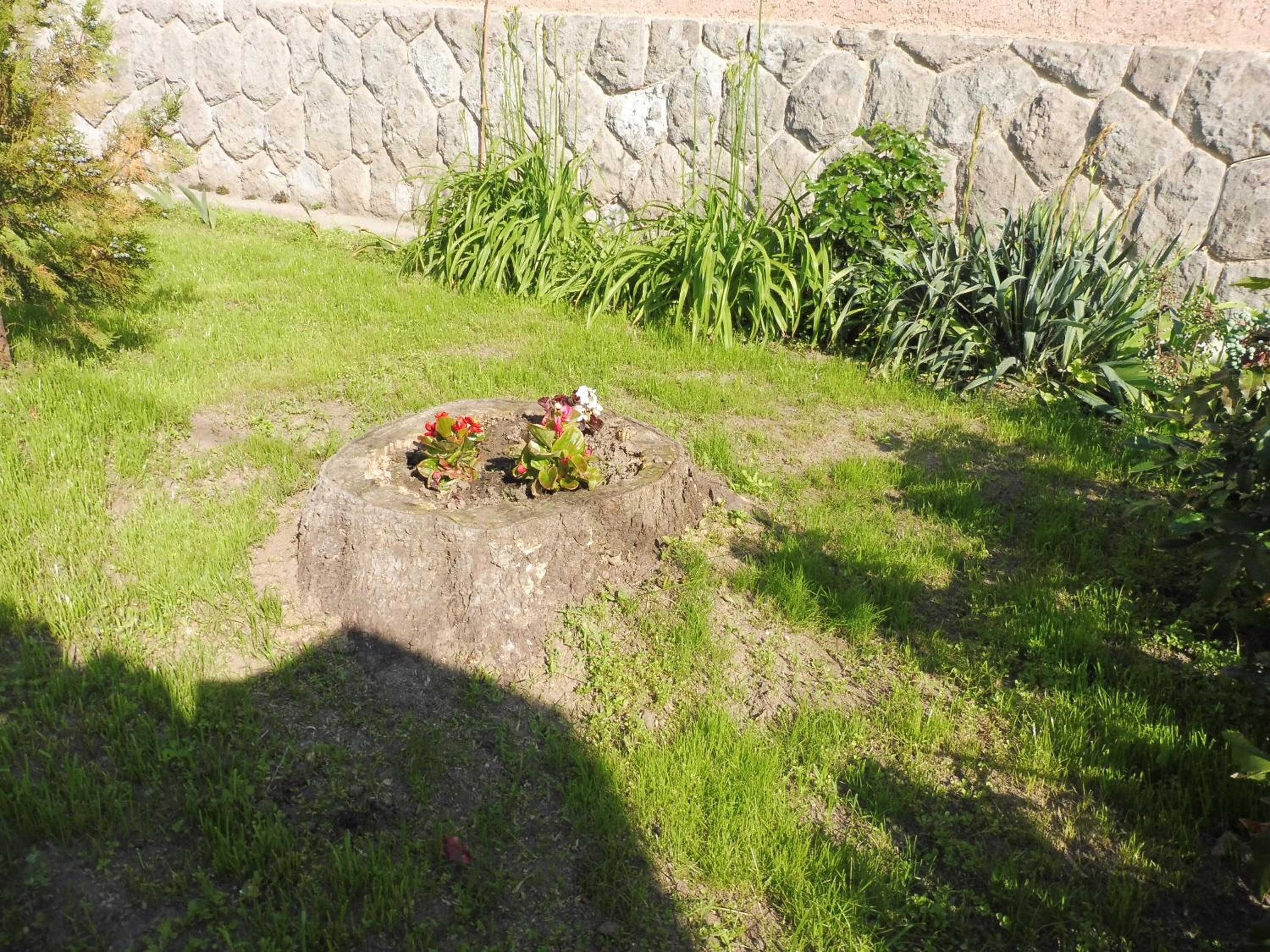 Photo 22