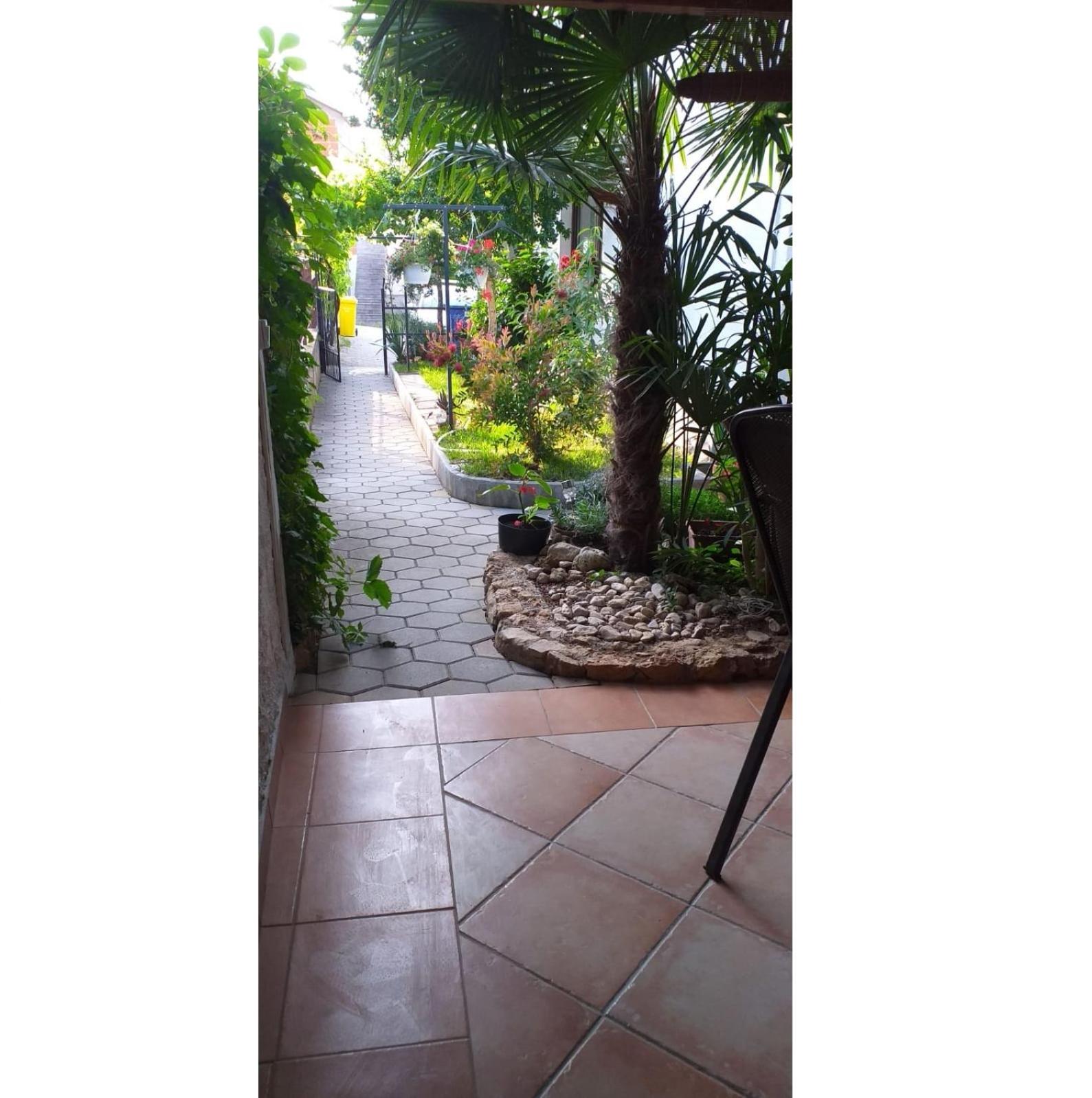 Photo 38