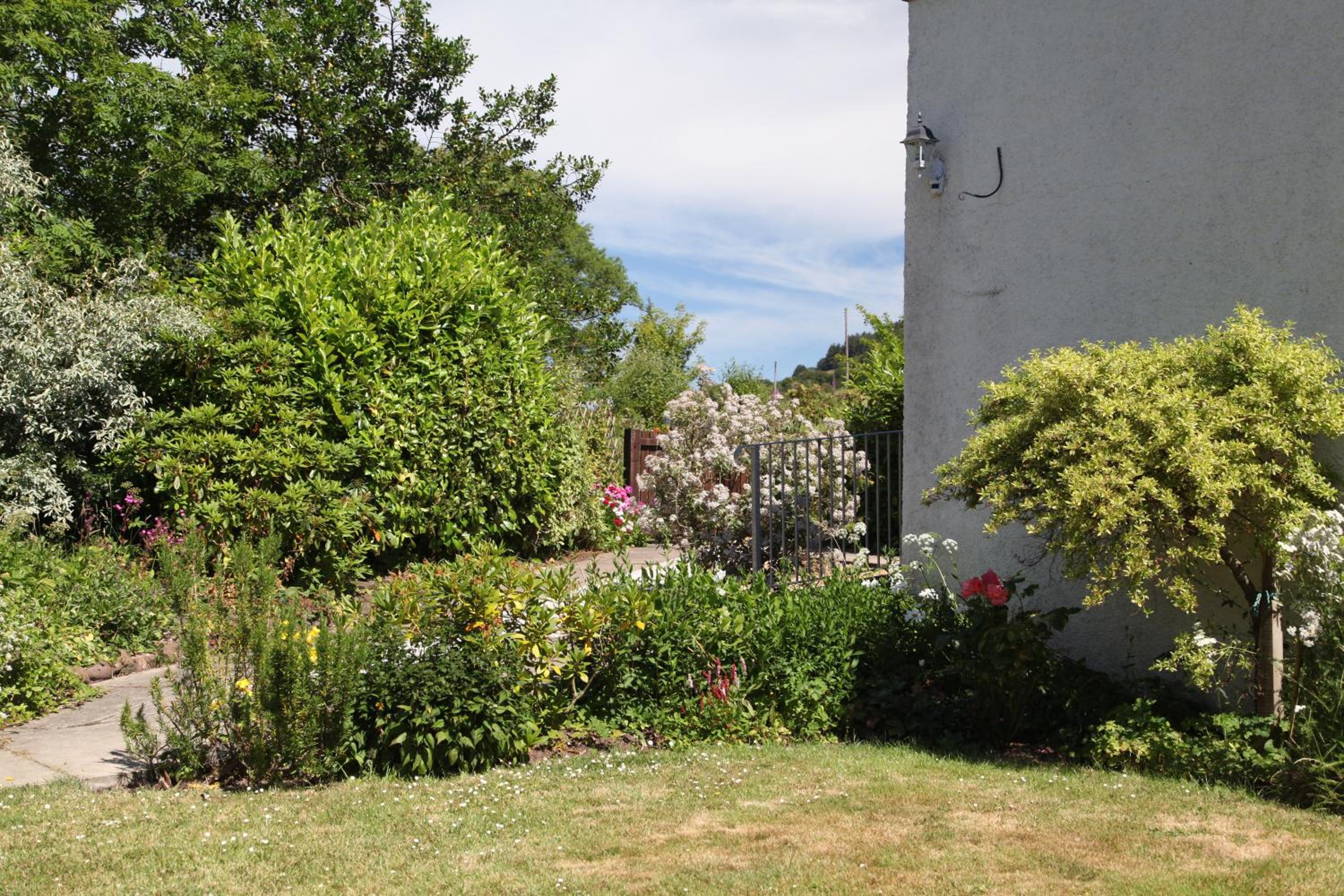 Photo 23
