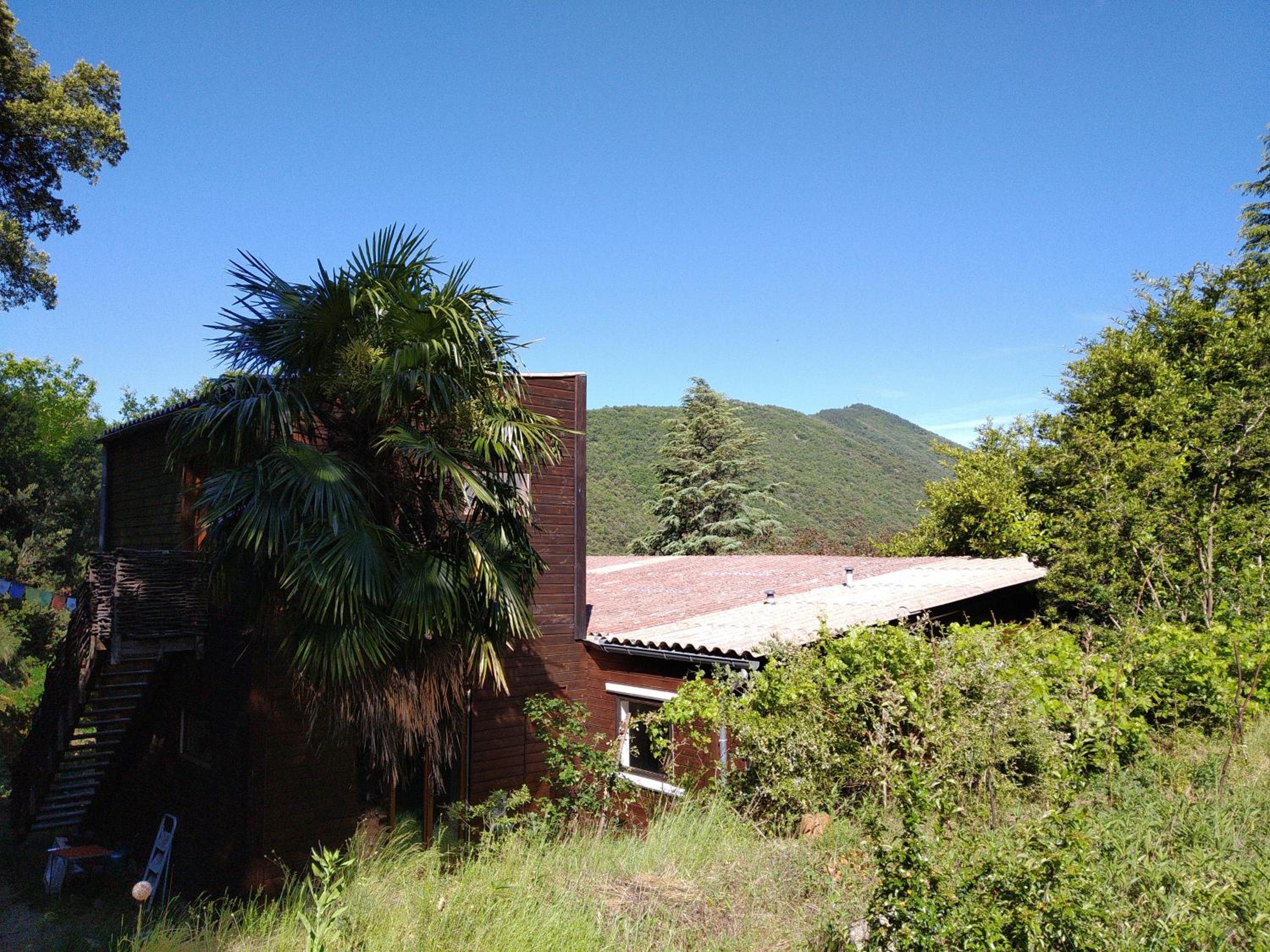 Pura Vida view 5