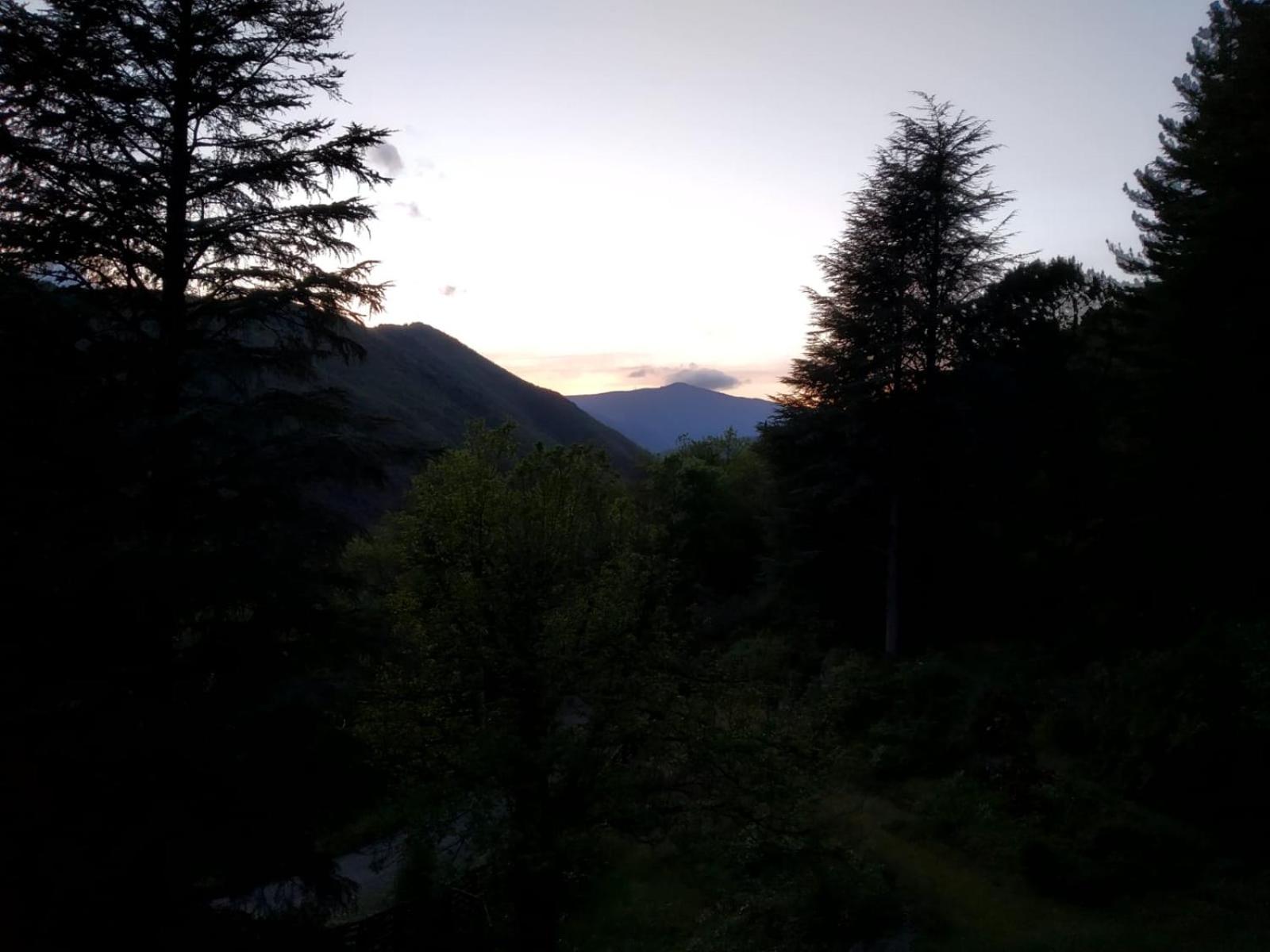 Pura Vida view 3