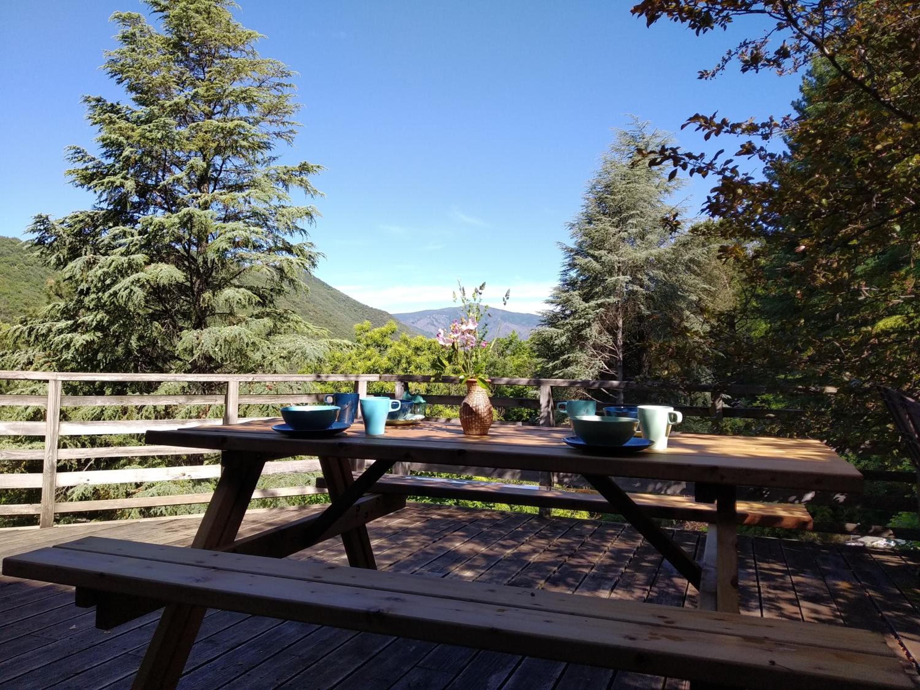 Pura Vida view 4