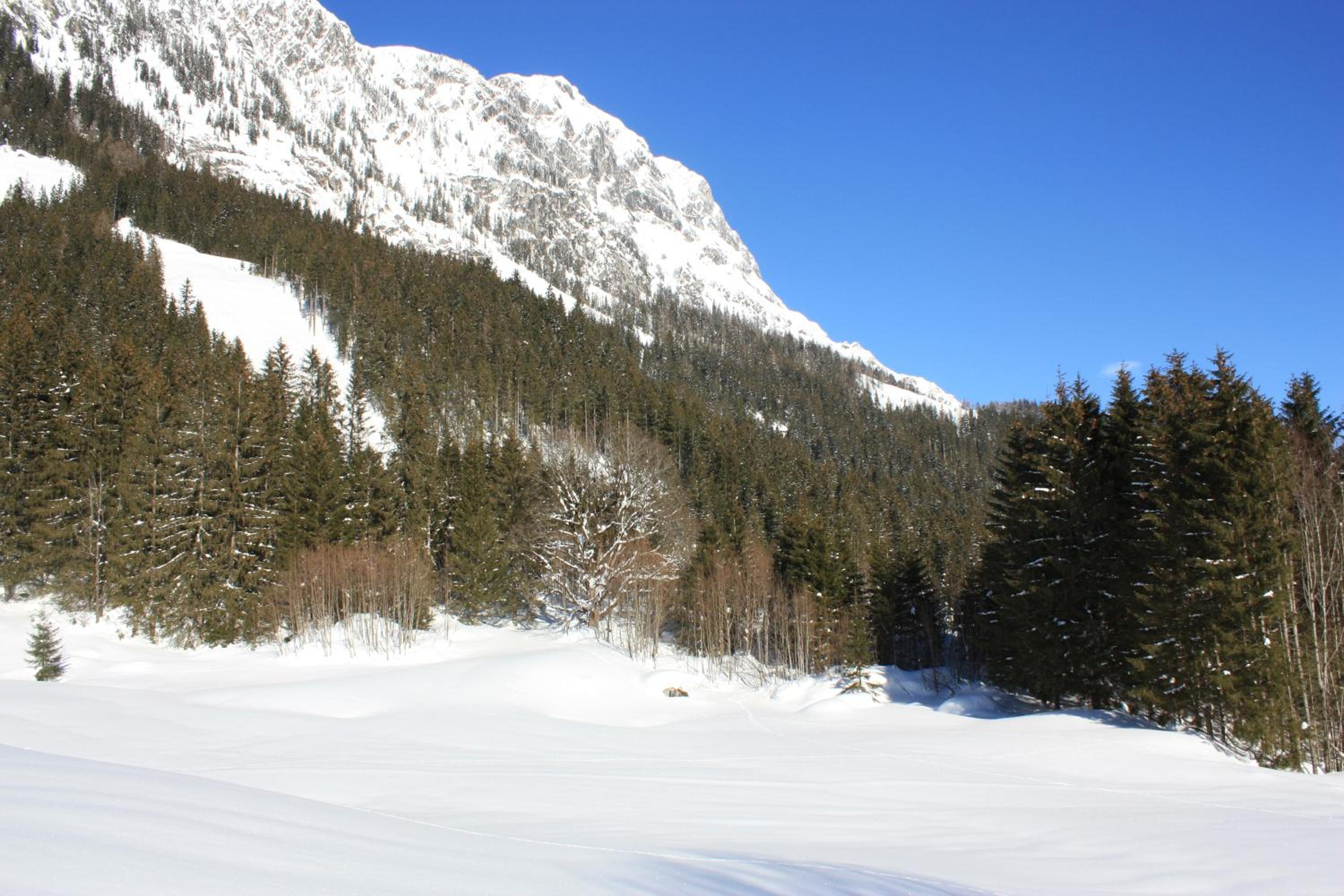 Blockhütte Radmer view 4