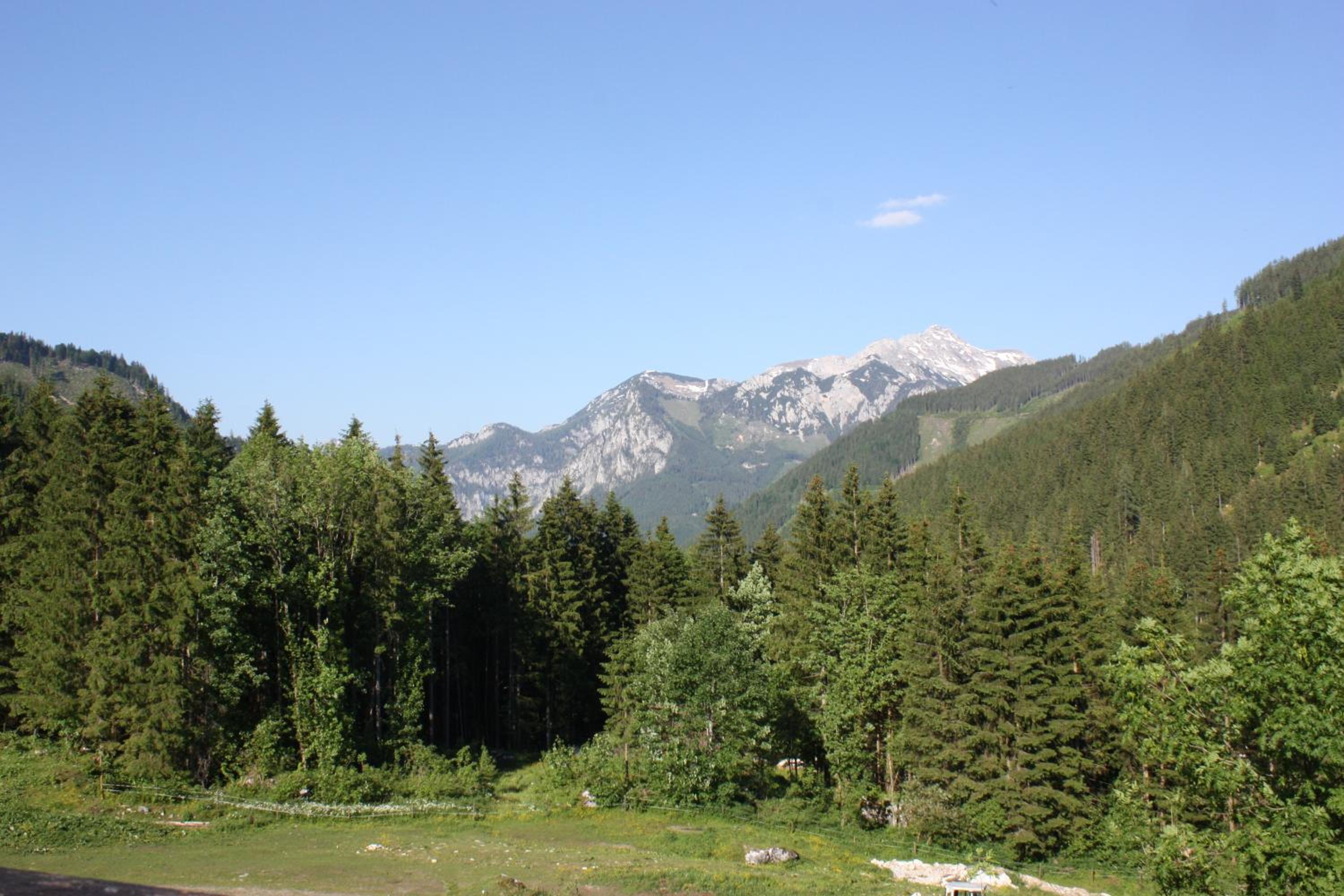 Photo 26