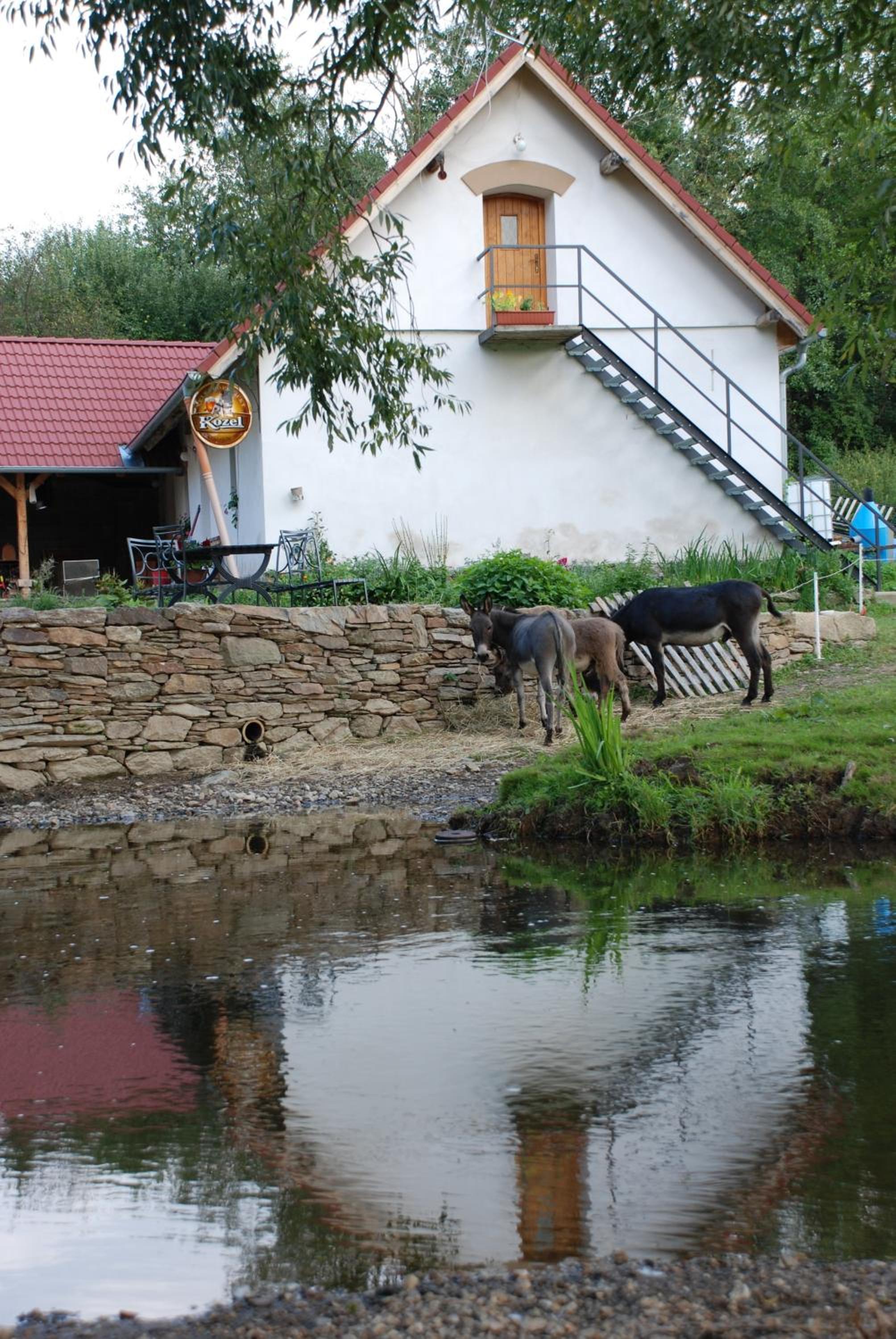 BioFarma Dolejší Mlýn