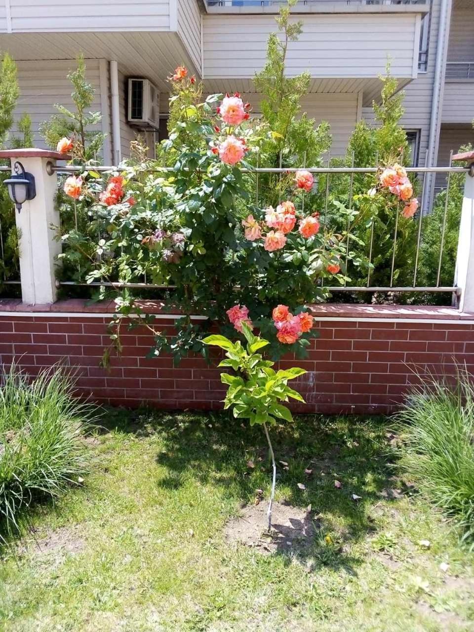 Photo 28