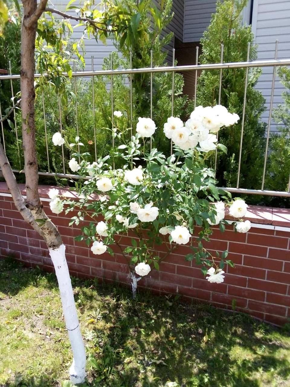Photo 29