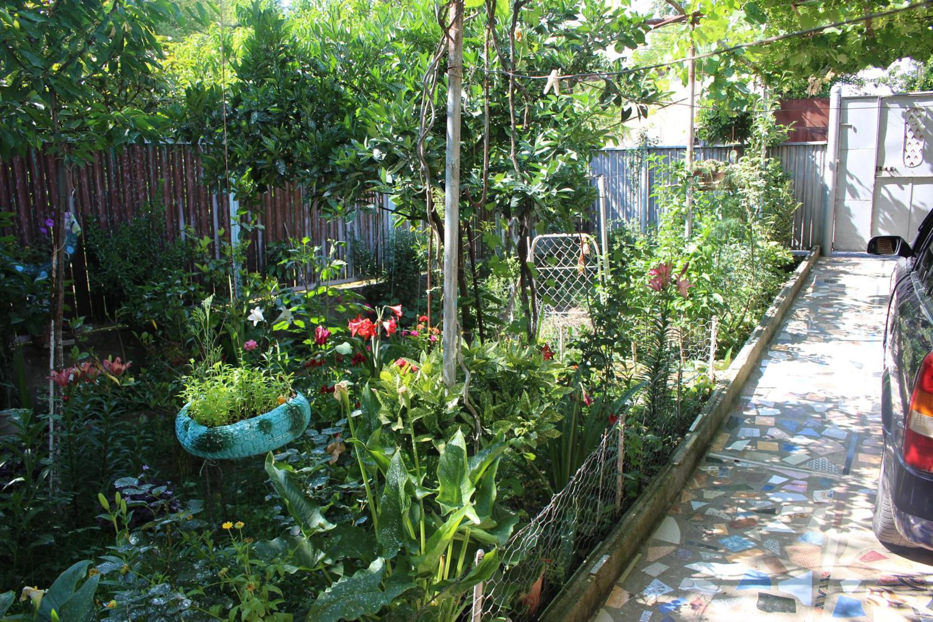 Photo 8