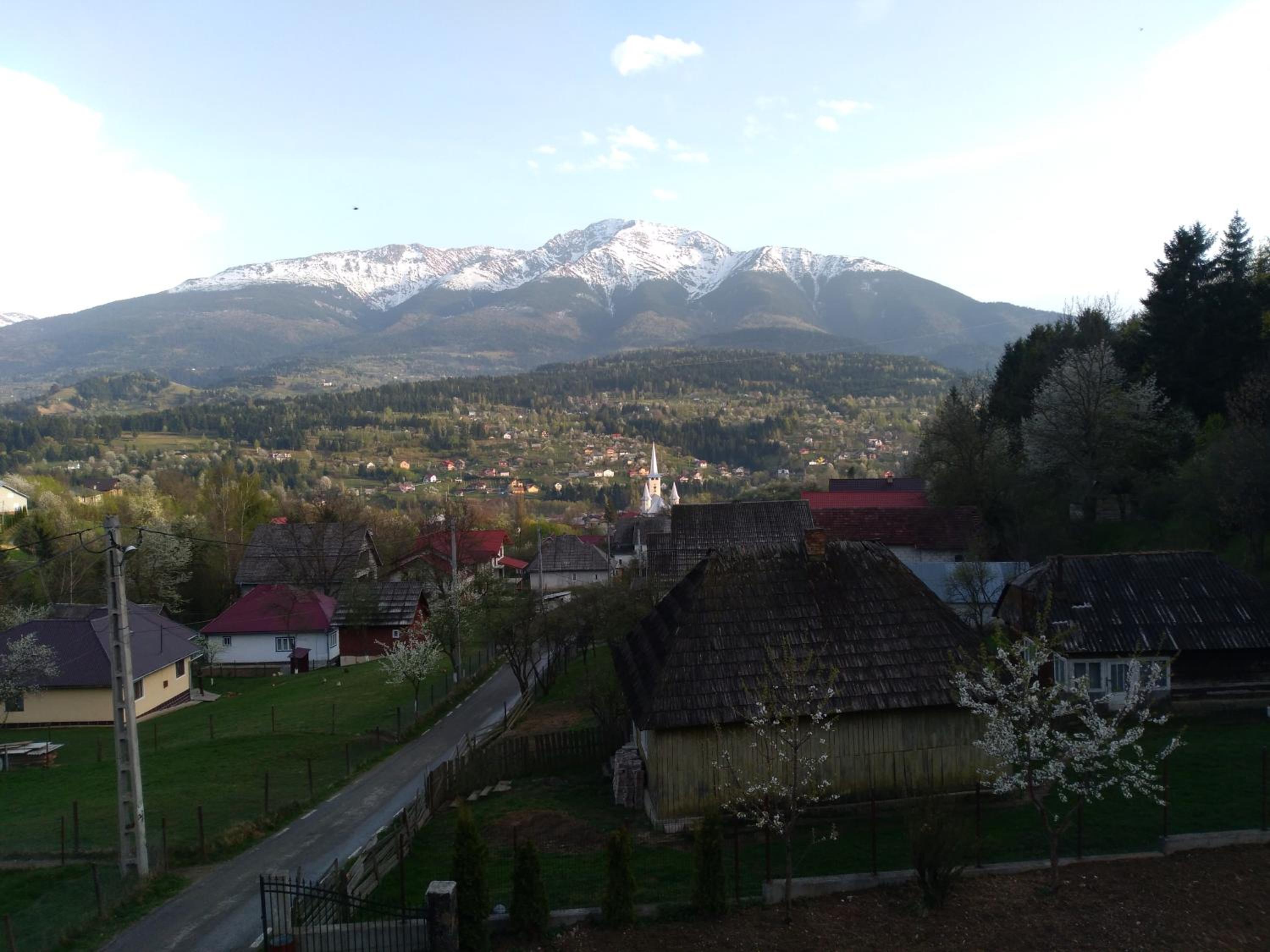 Photo 27