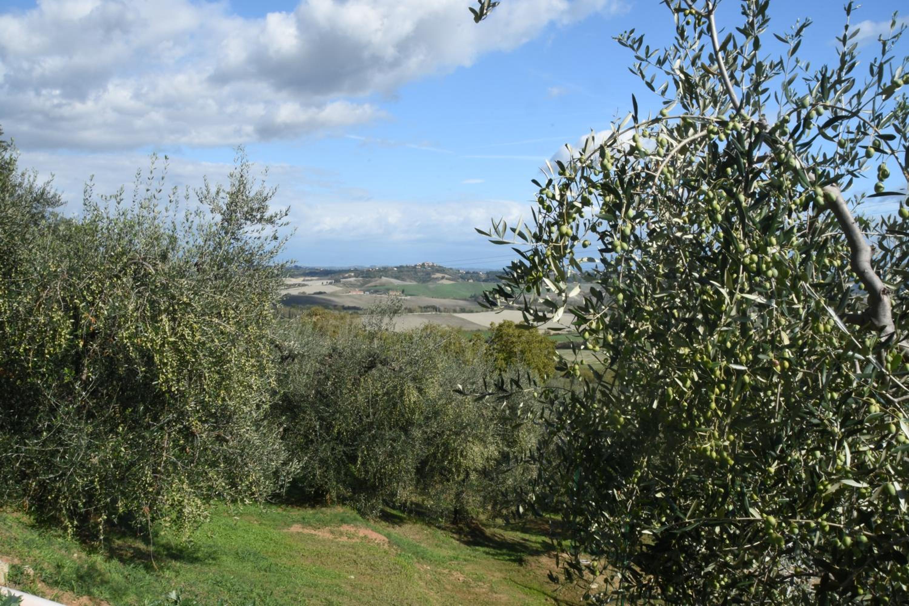 Photo 39