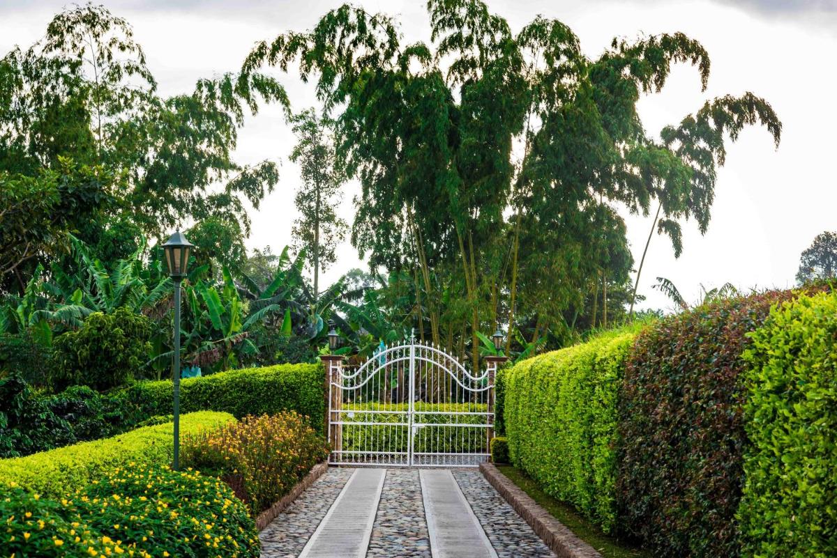 garden