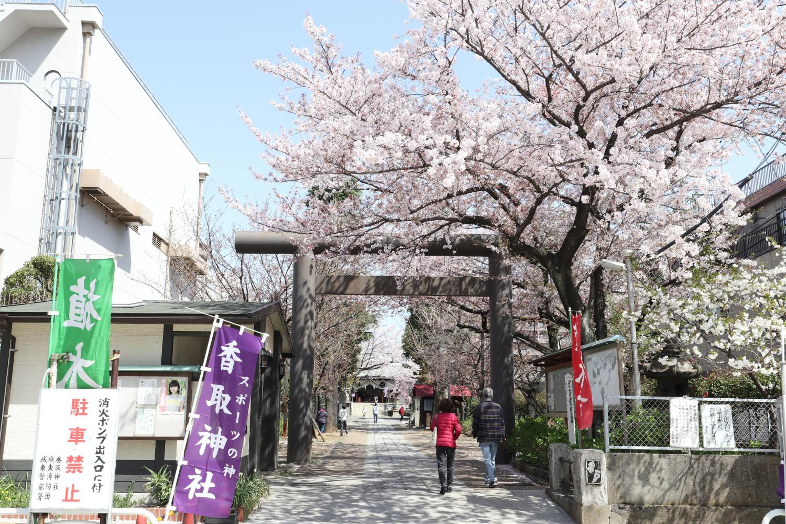 Tokyo Sakura hotel