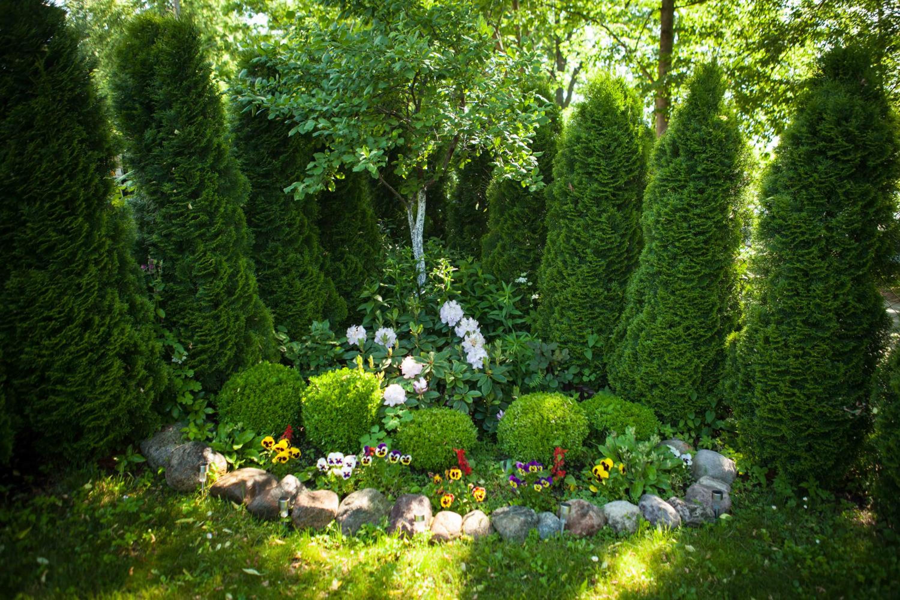 Photo 22