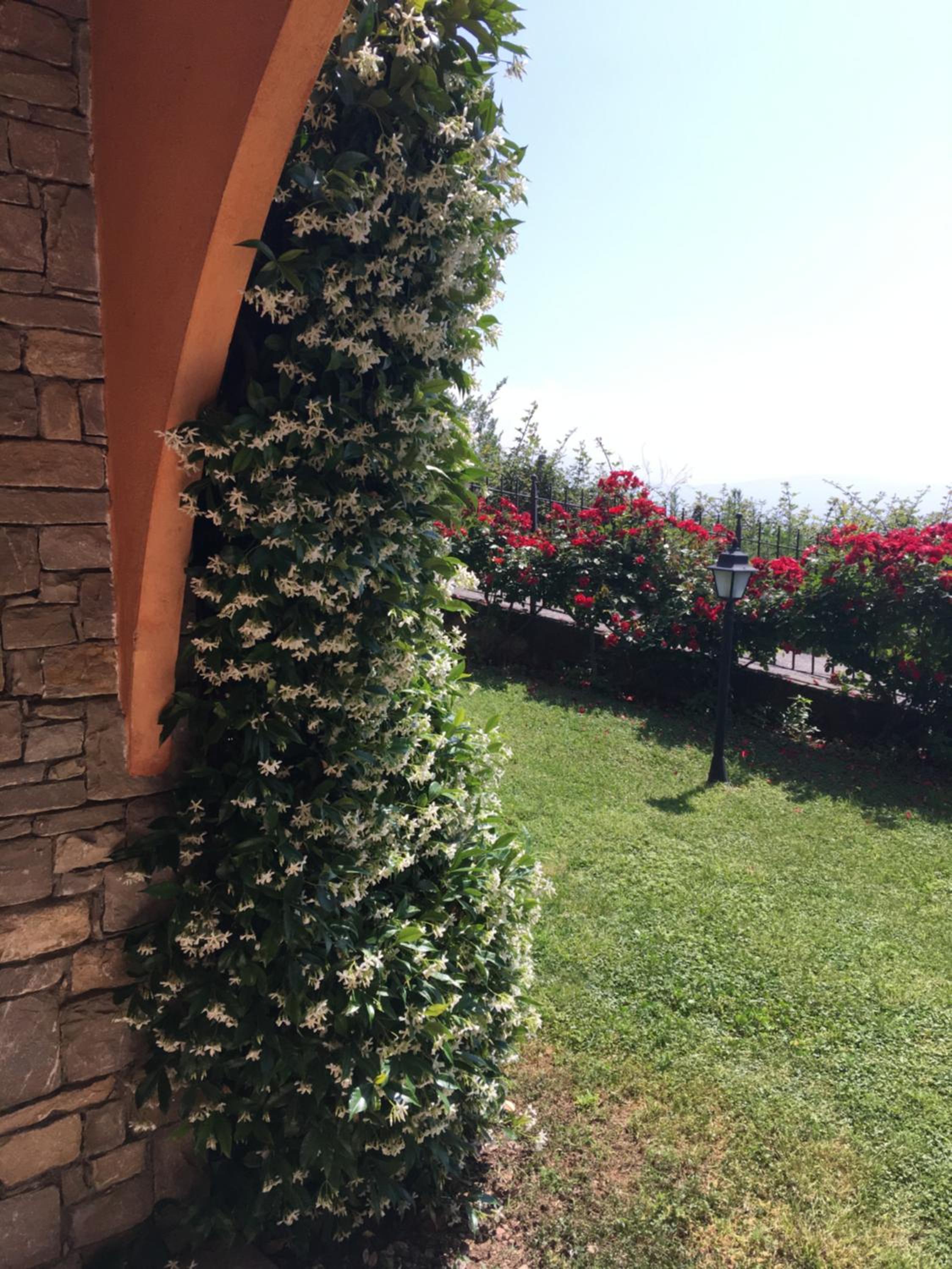 Belvedere Hotel & Villa, photo 13