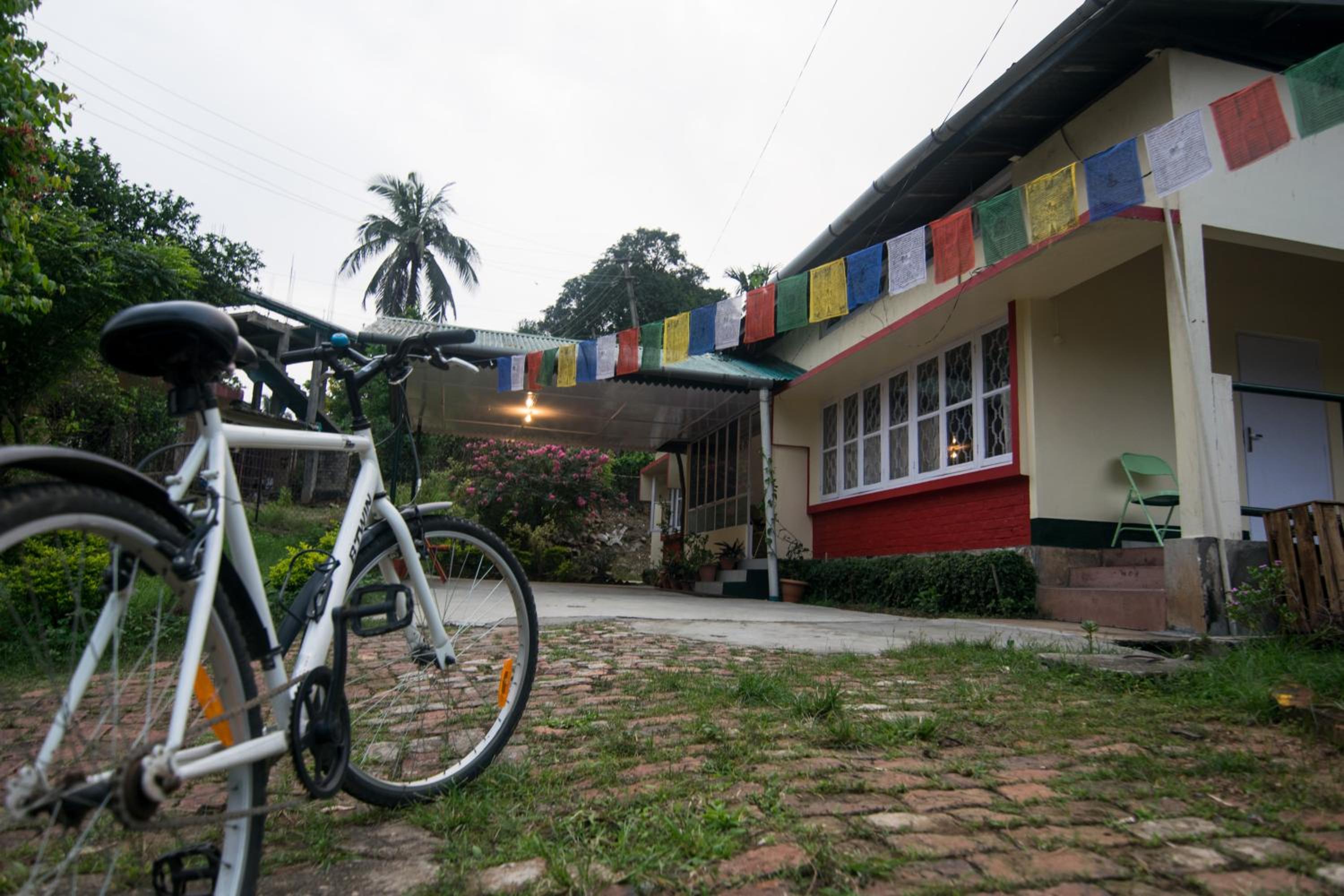 Photo 44