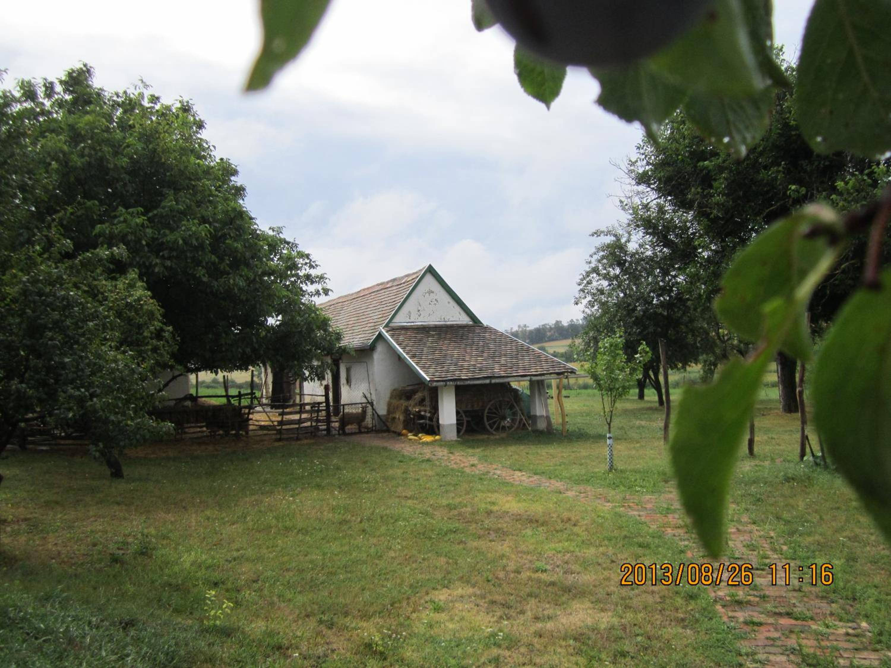 Photo 46
