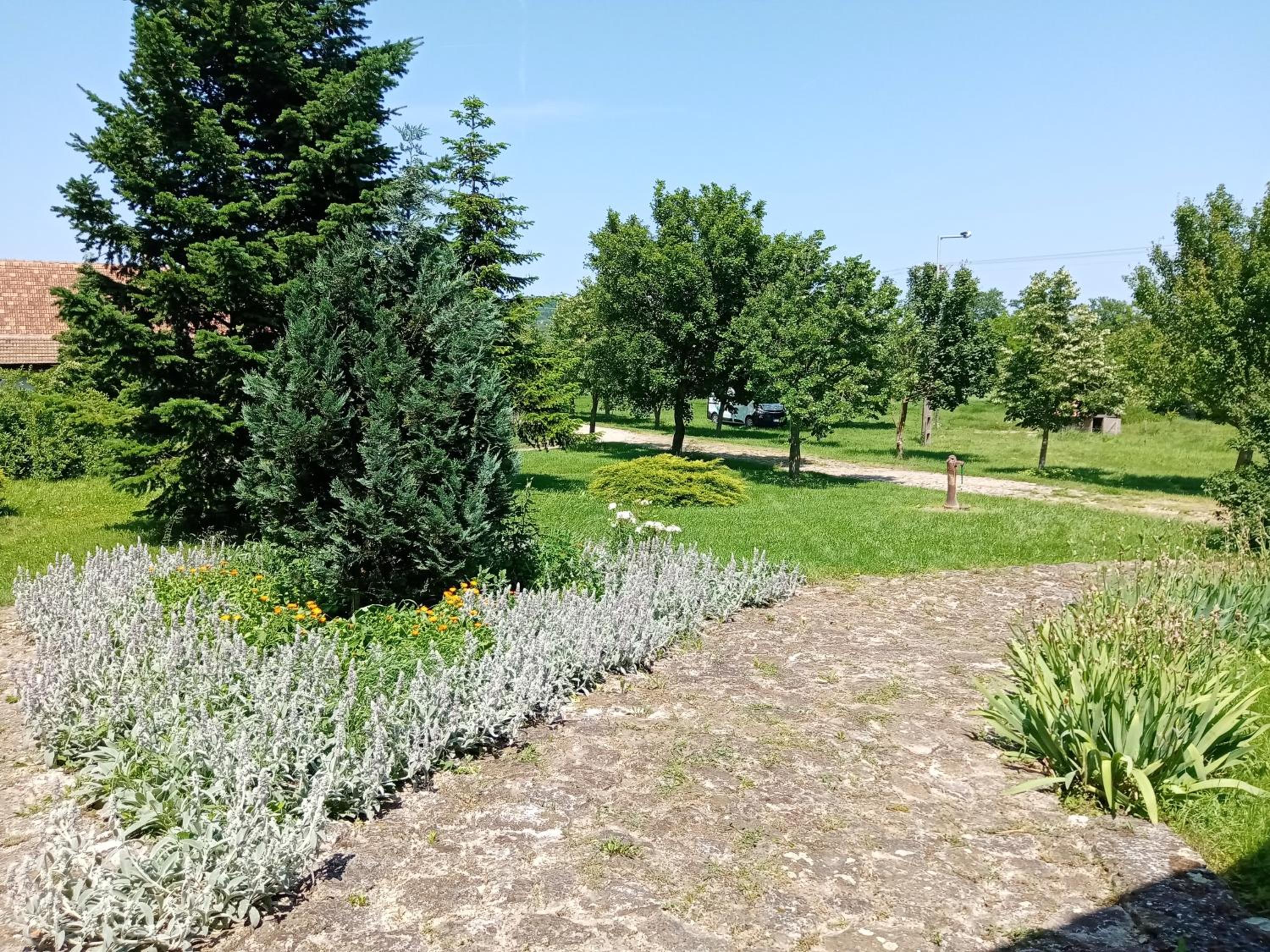 Photo 41