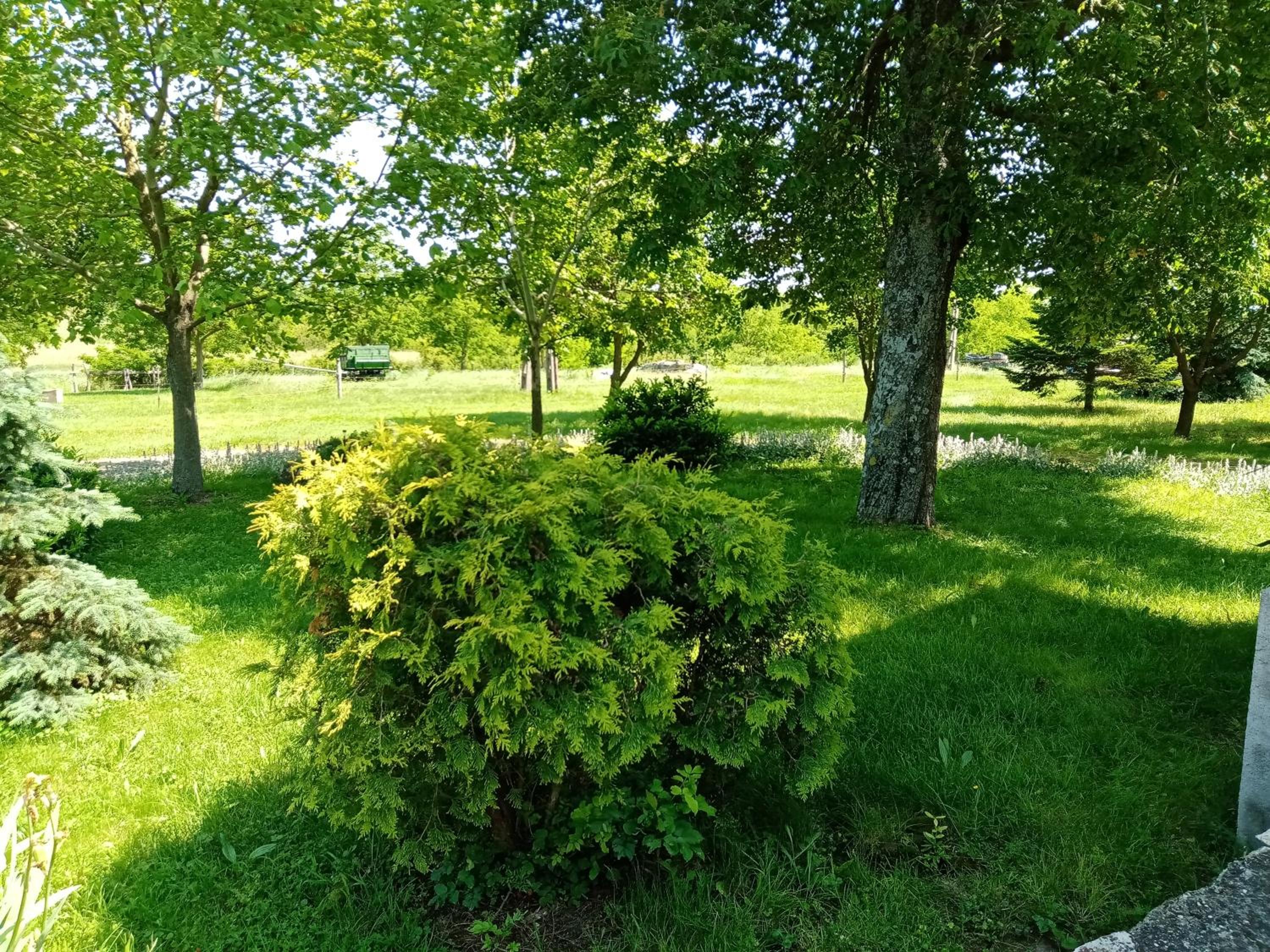 Photo 40