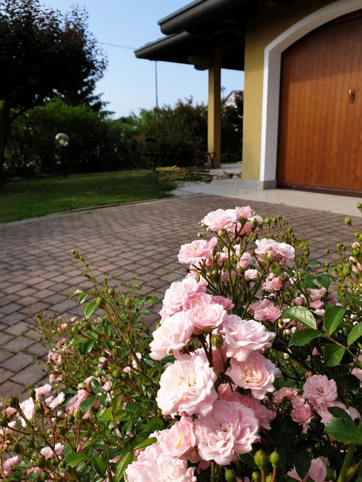 Residence Stradella Verde view 5