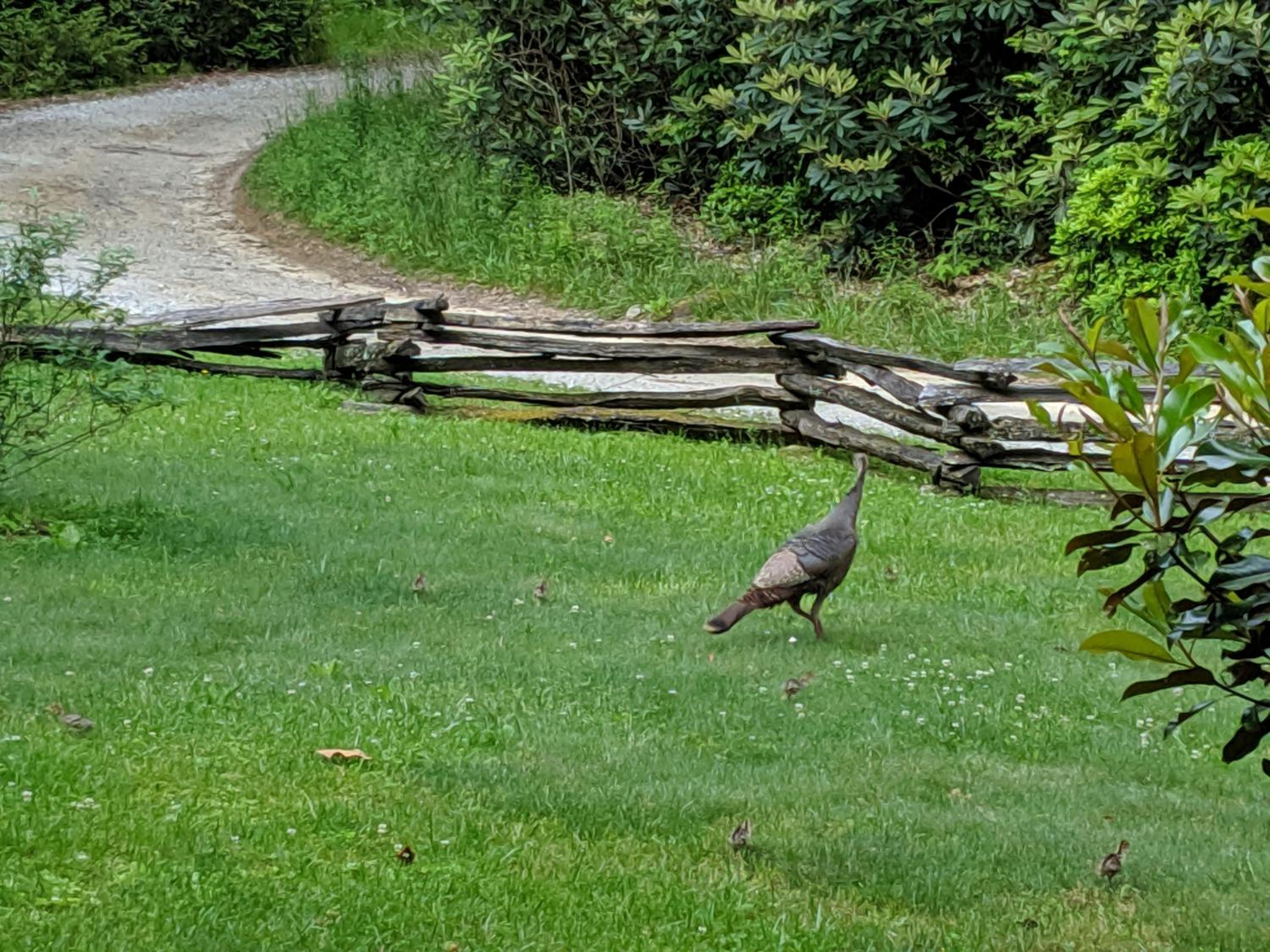 Buffalo Creek Bed and Breakfast