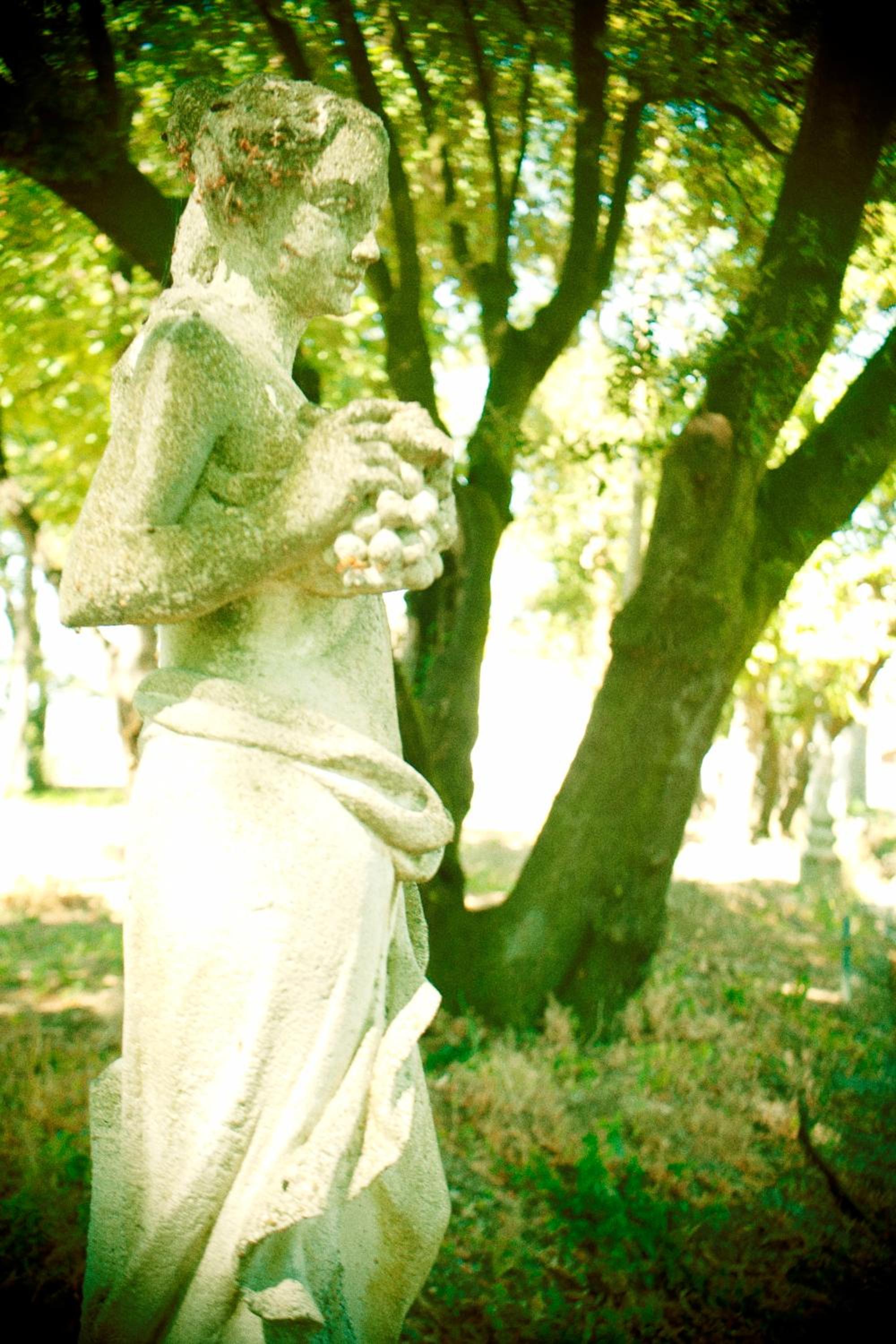 Photo 45