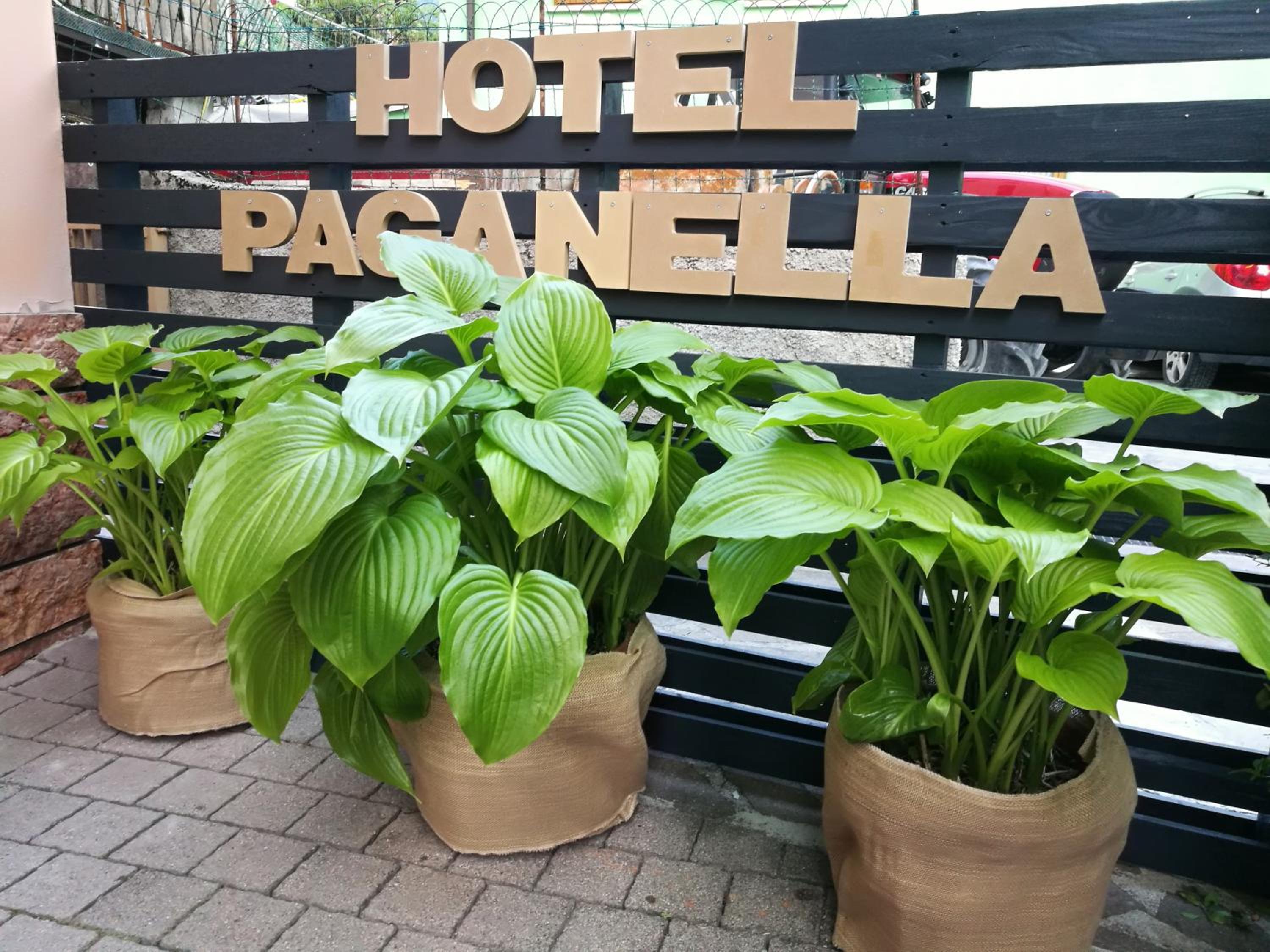 Hotel Paganella en Molveno