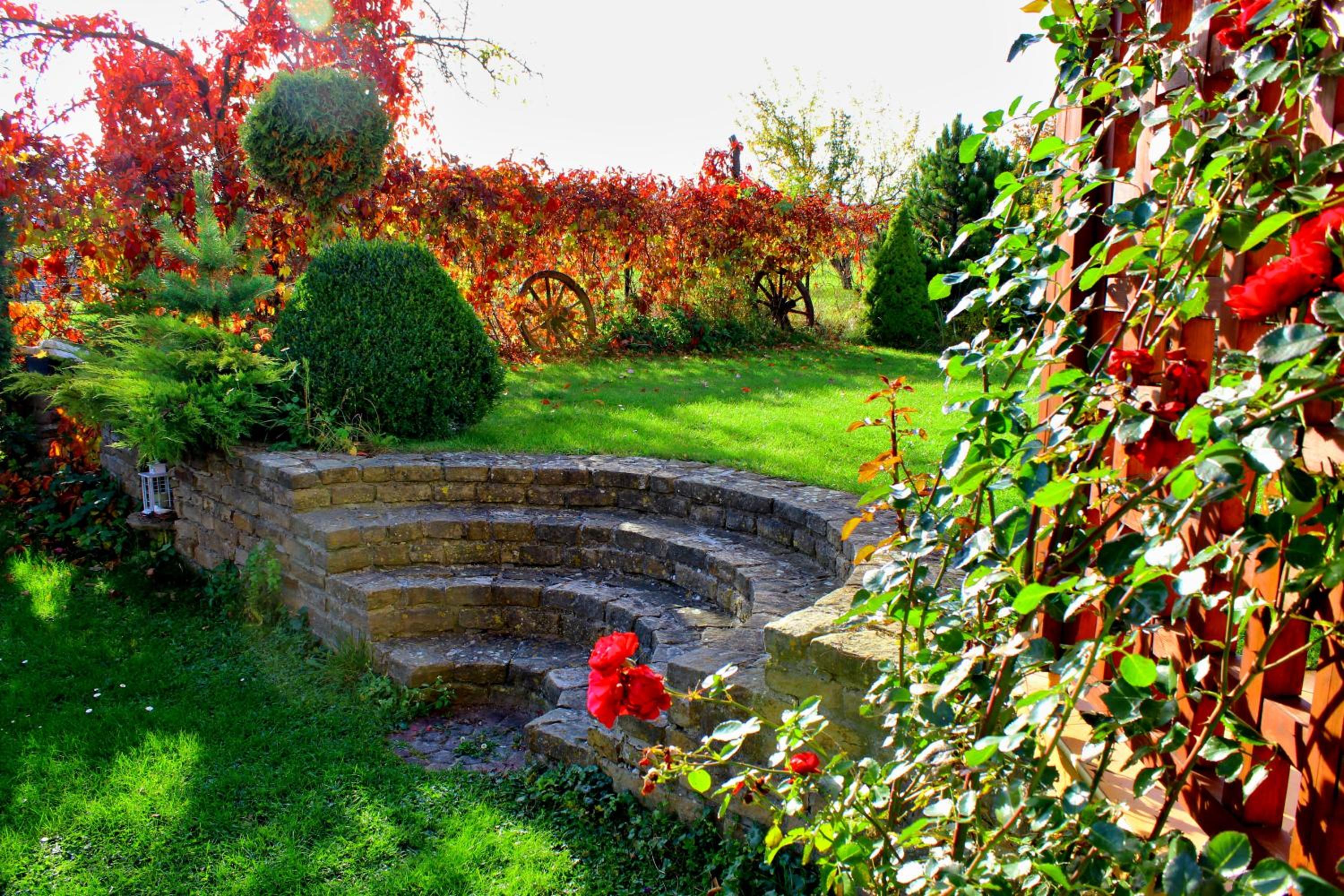Photo 44