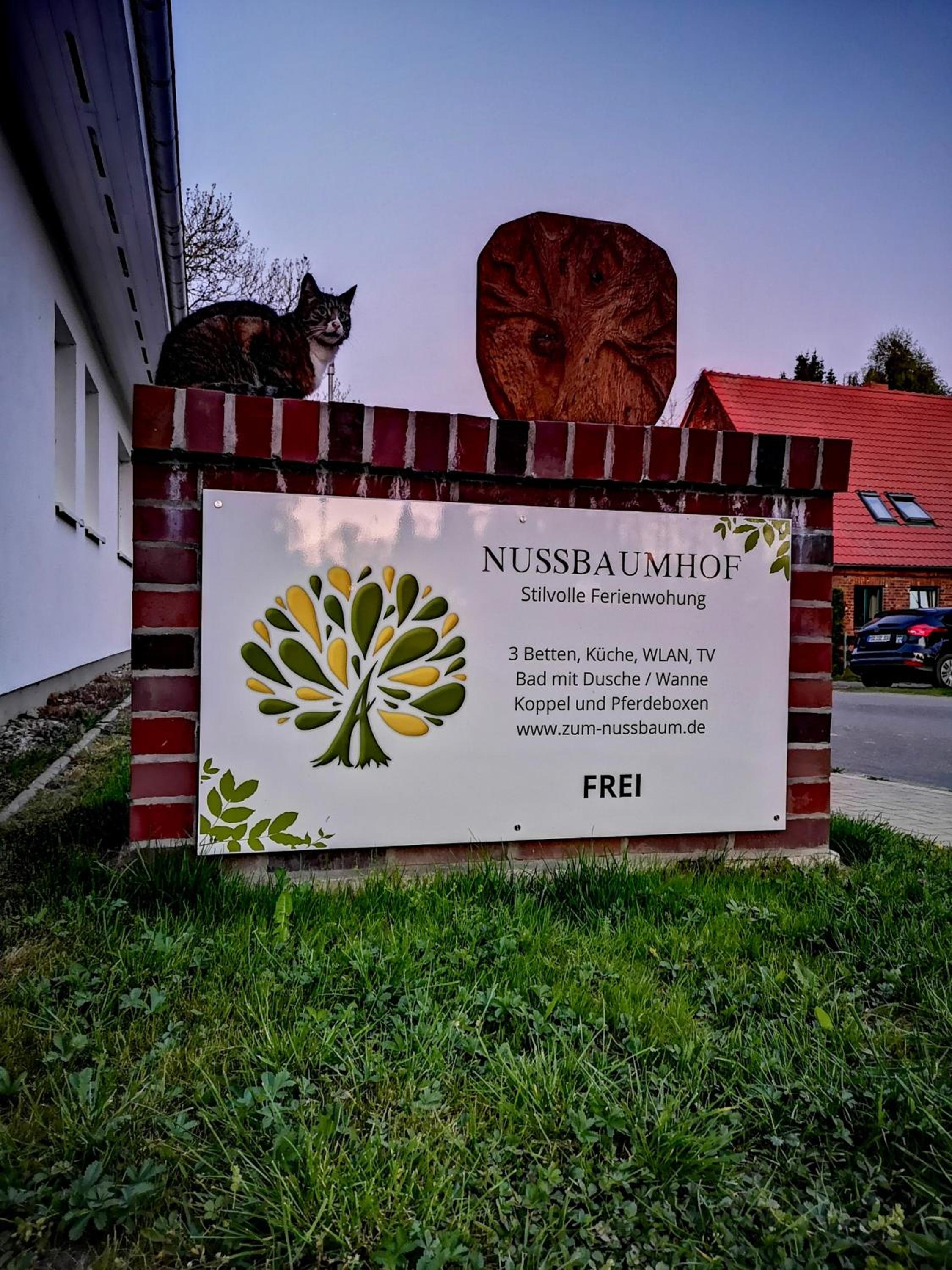 Nussbaumhof mit Koppel view 5