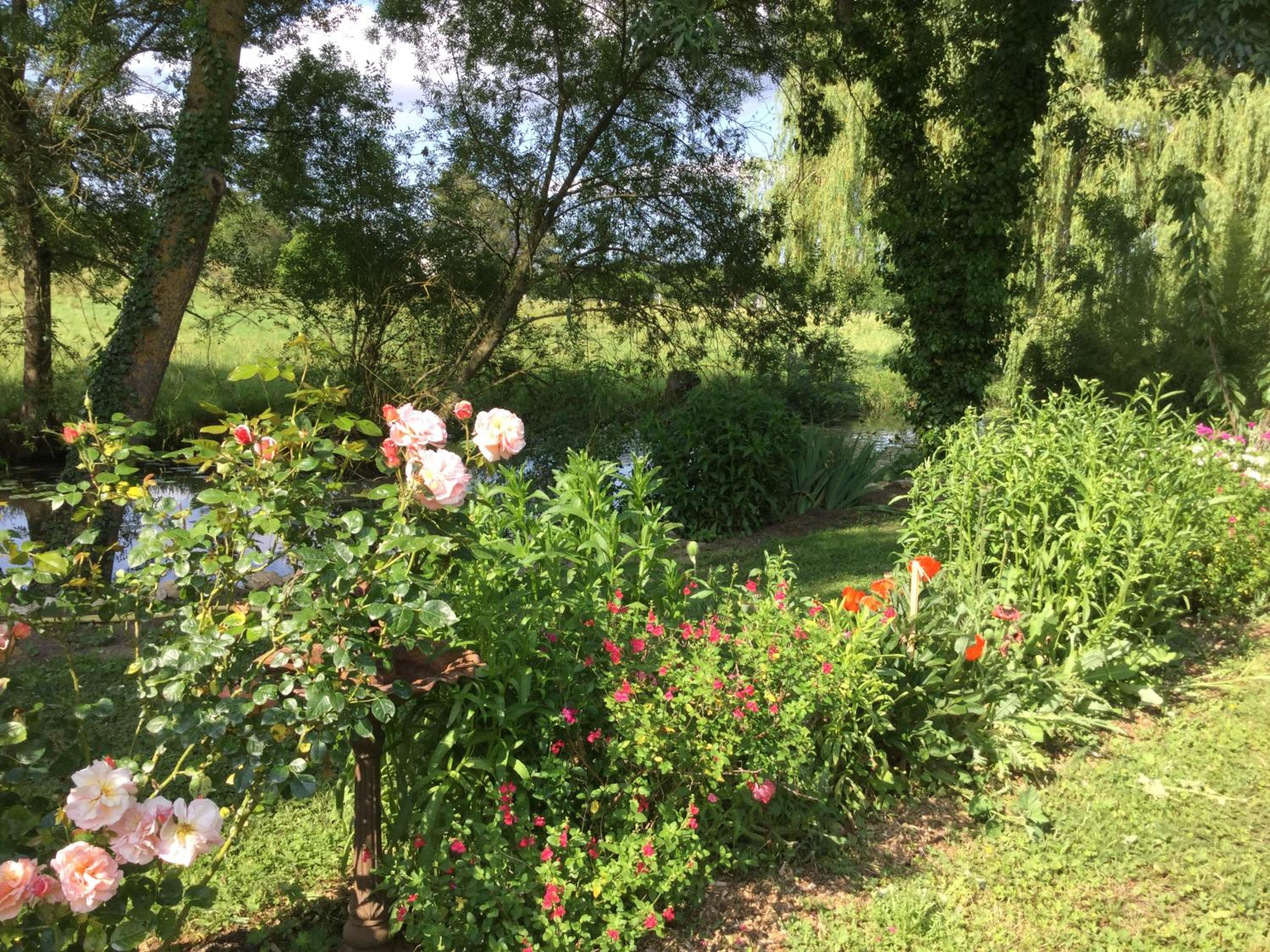 Photo 22