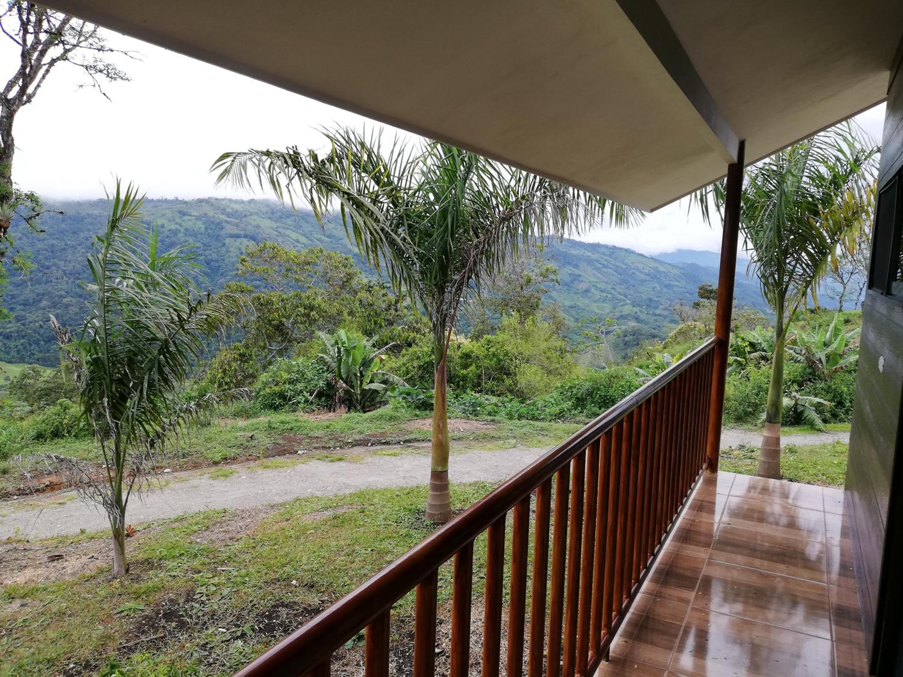 Cabañas Bambú