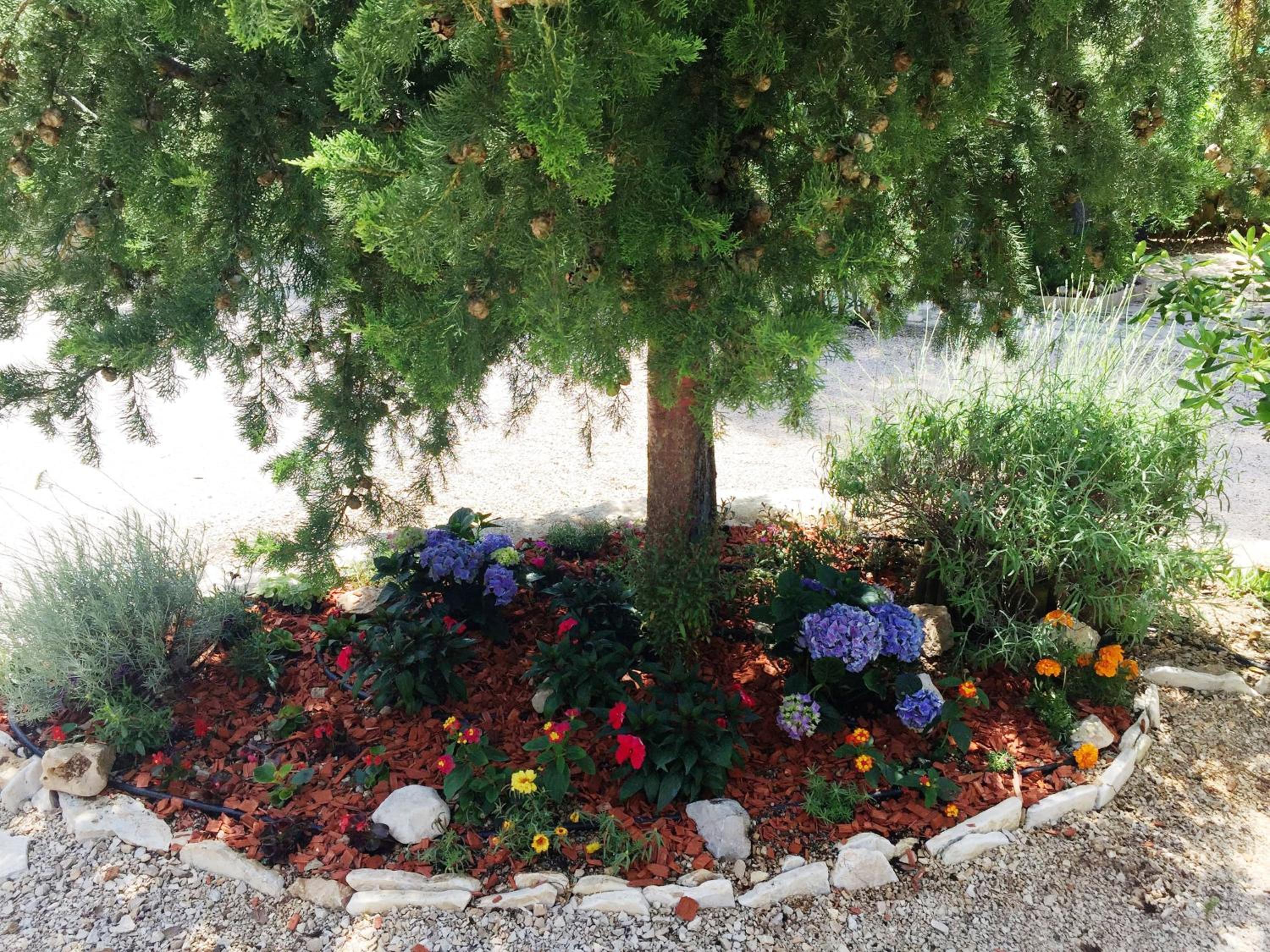 Photo 19