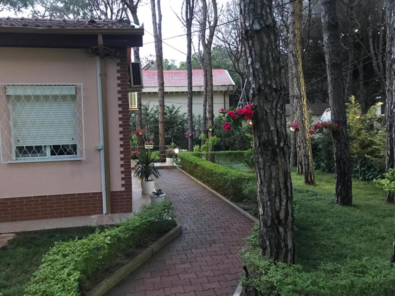 Seafront Villa with a Stunning Garden