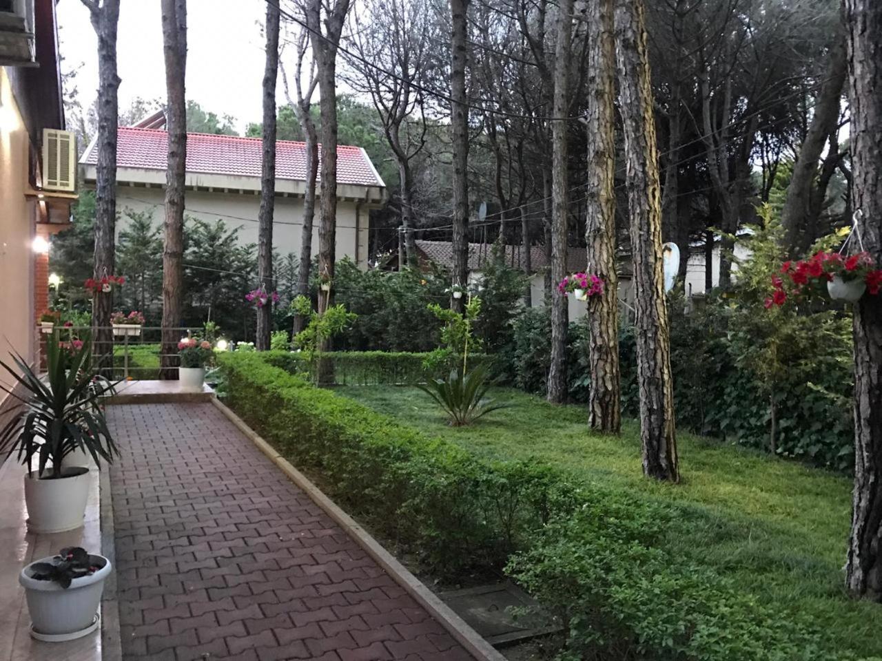 Seafront Villa with a Stunning Garden