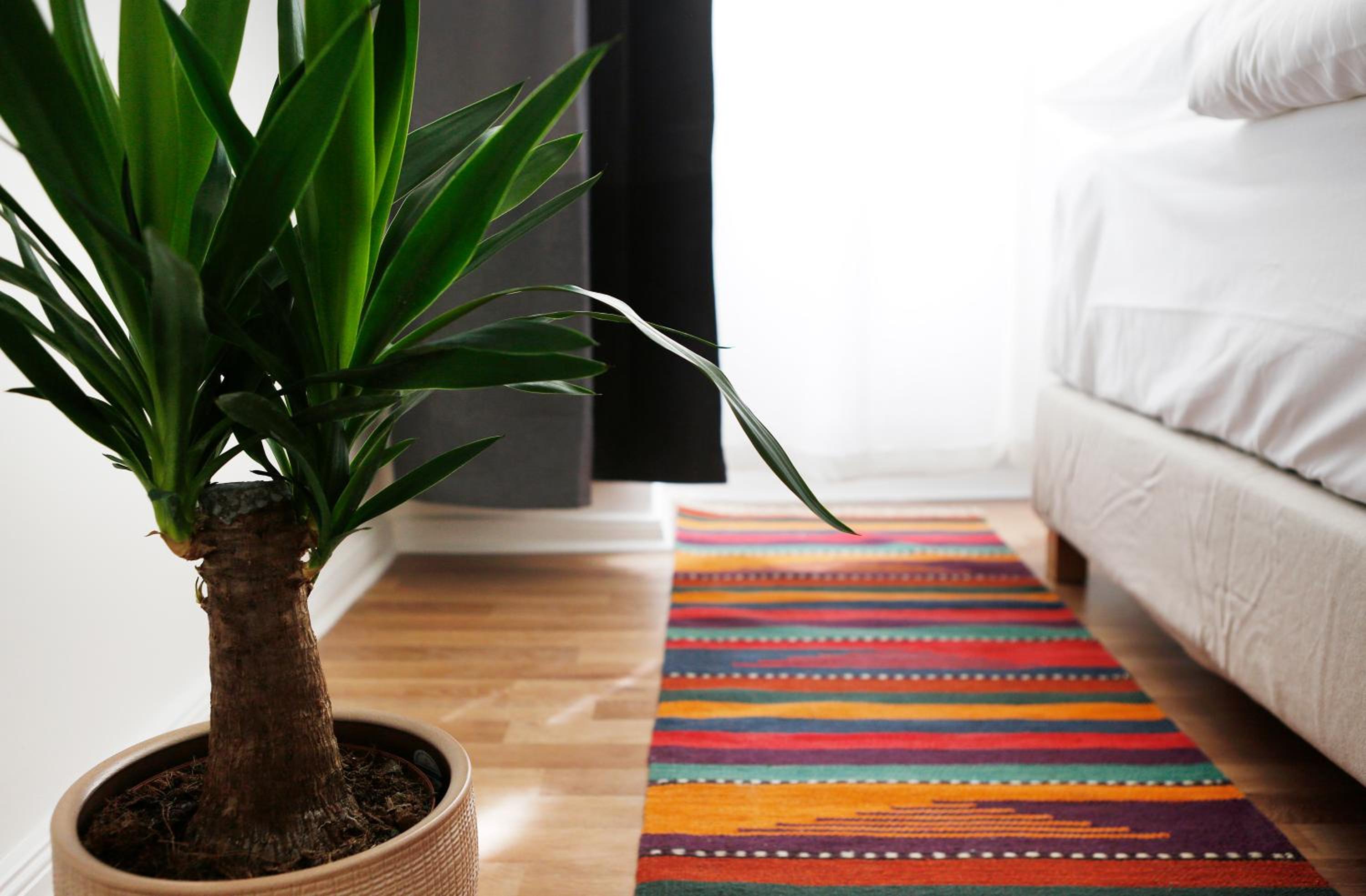 Be in Berlin Apartments in Prenzlauer Berg photo 5