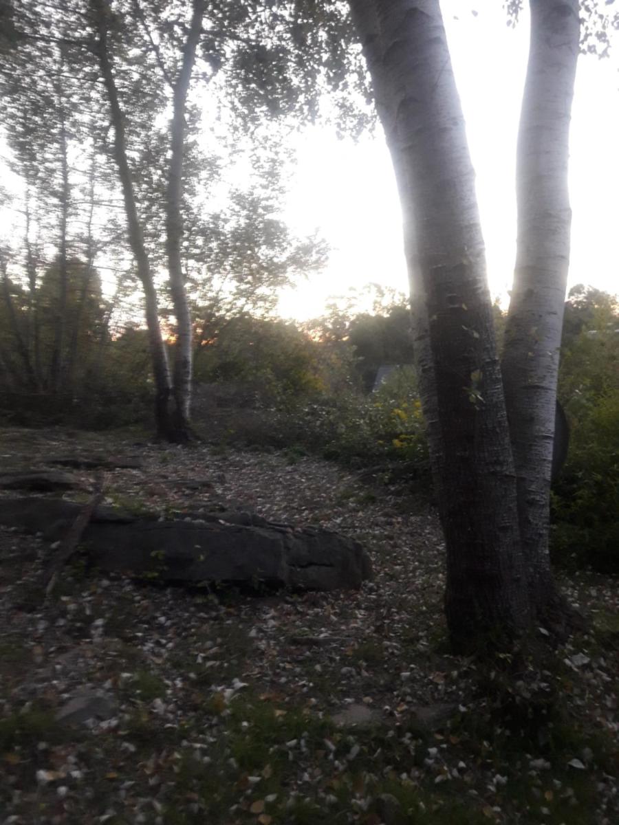 Cabaña Sierra