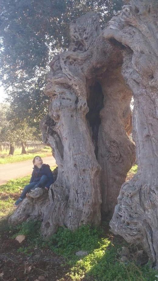 B & B Monte Adamo