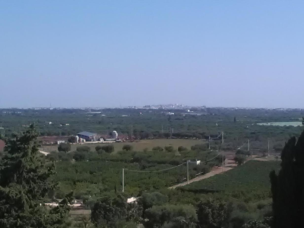 B & B Monte Adamo photo 5