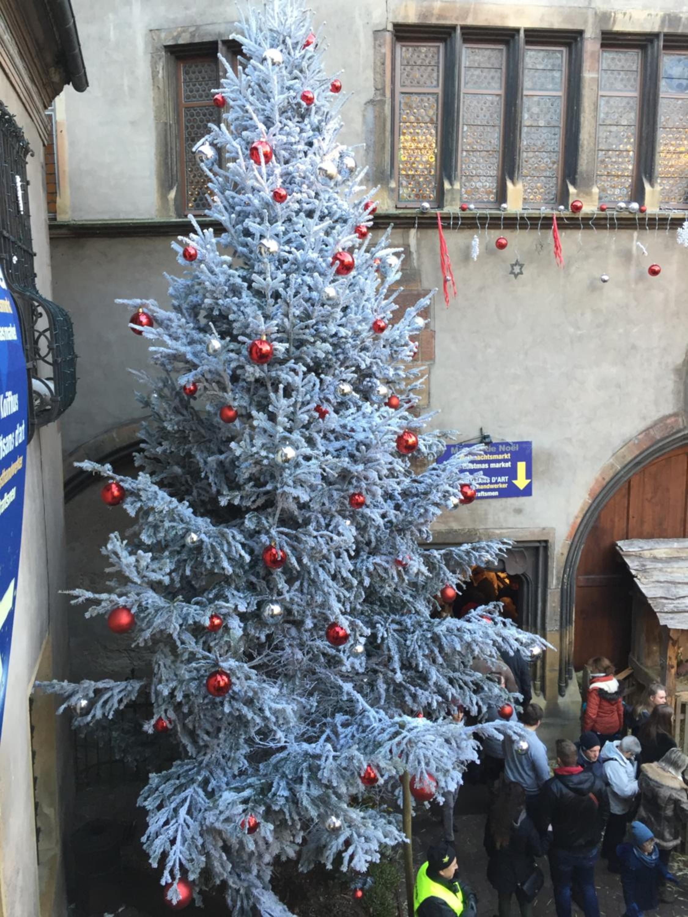 Photo 28