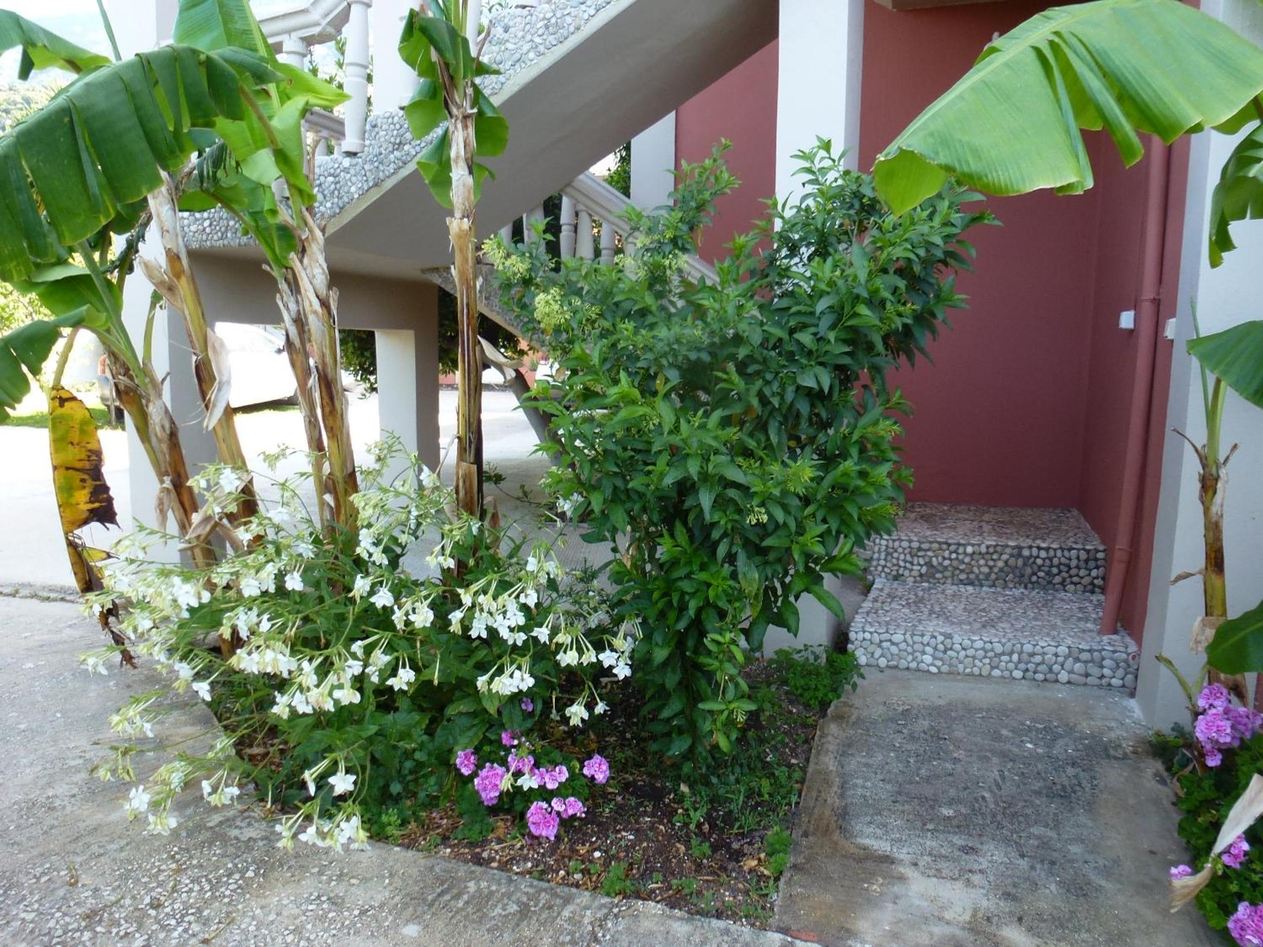 Photo 35