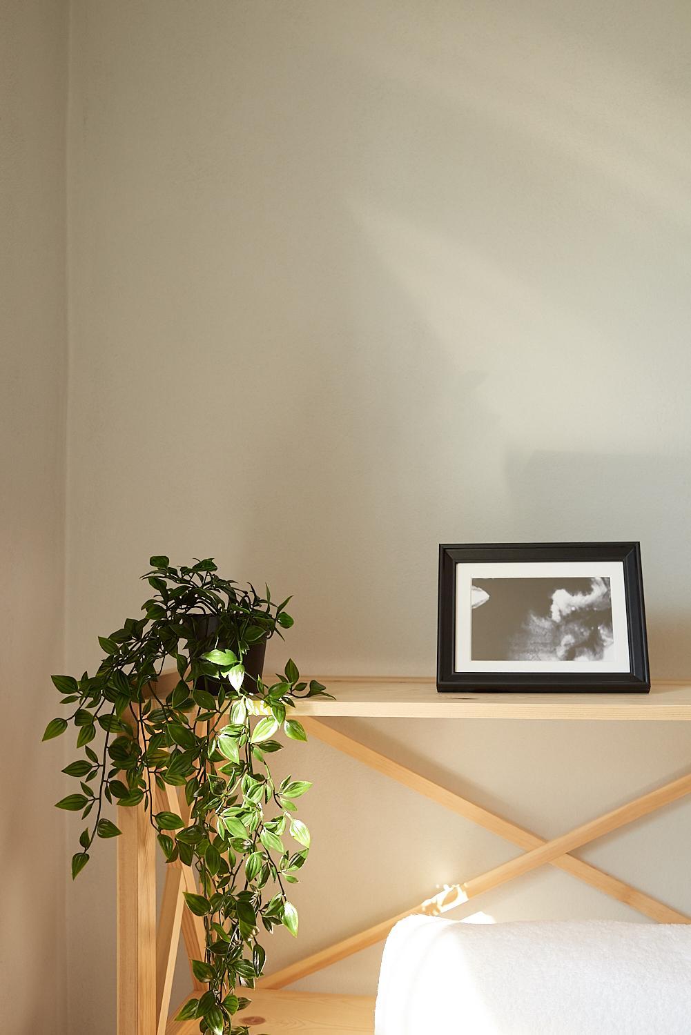 Photo 42