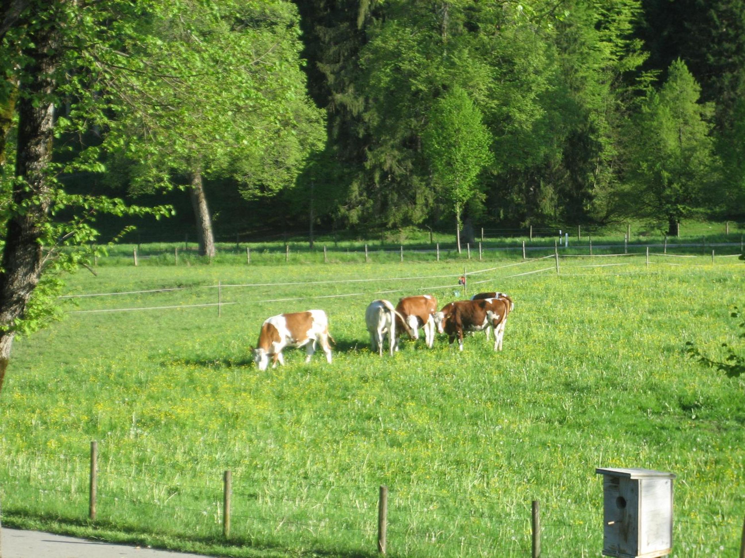 Photo 7