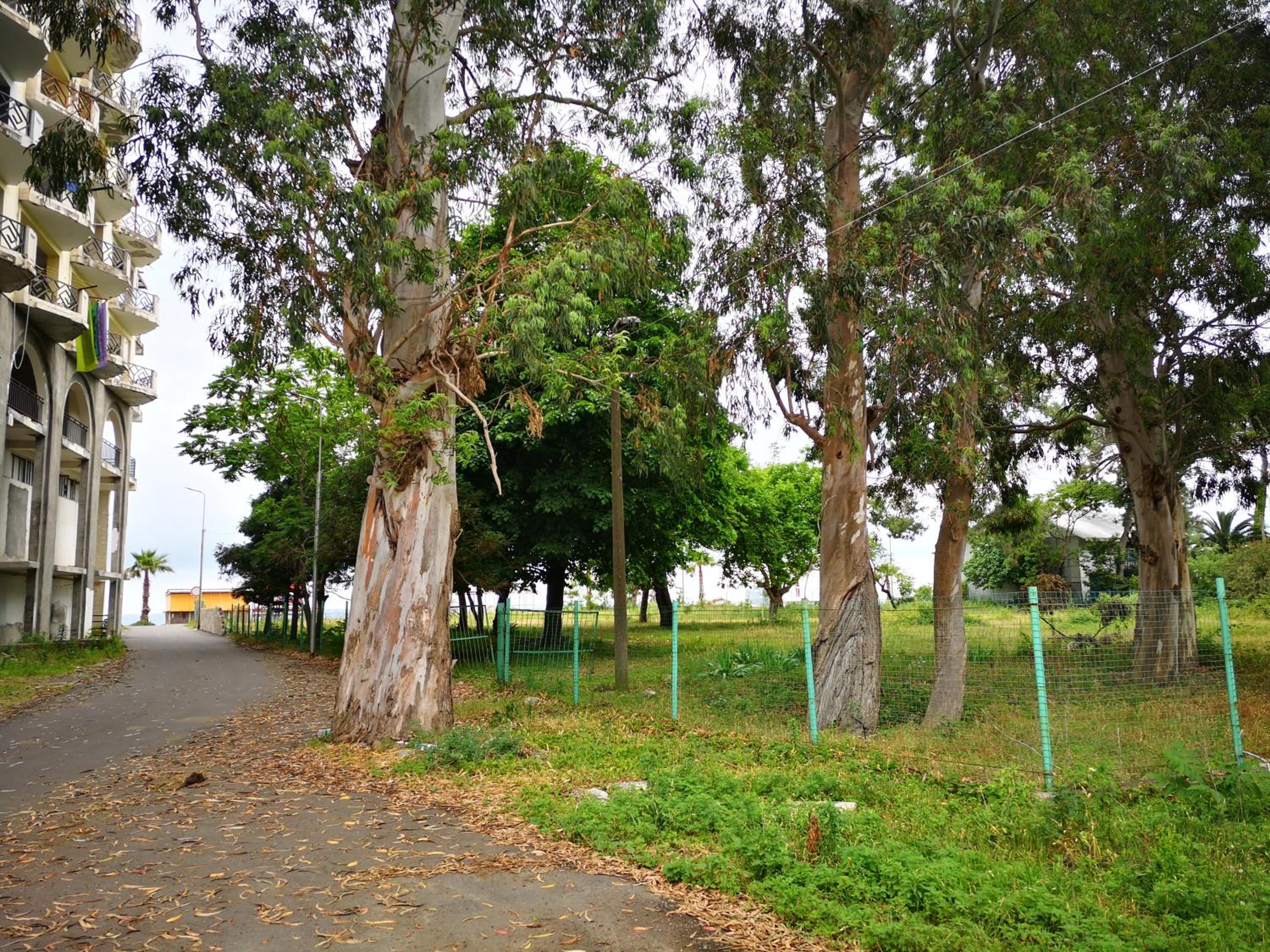 Photo 21