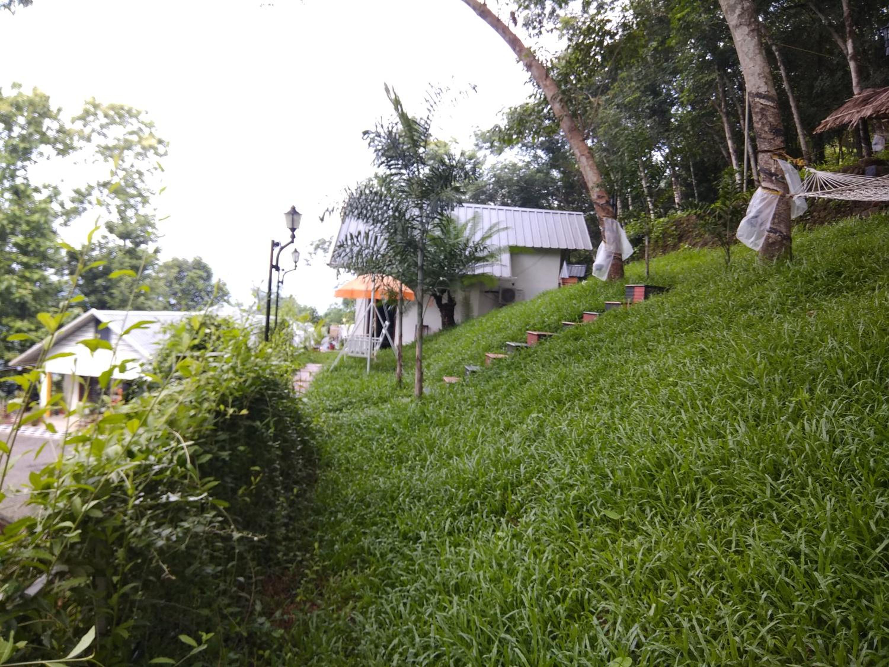 Photo 23