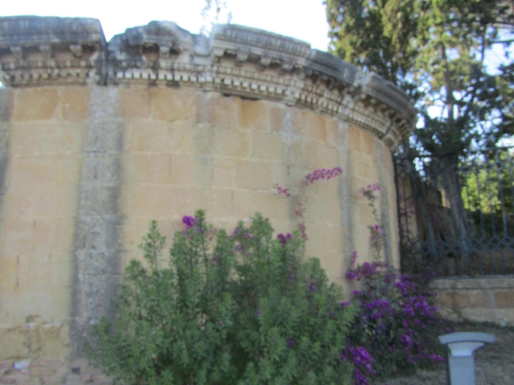 Photo 37