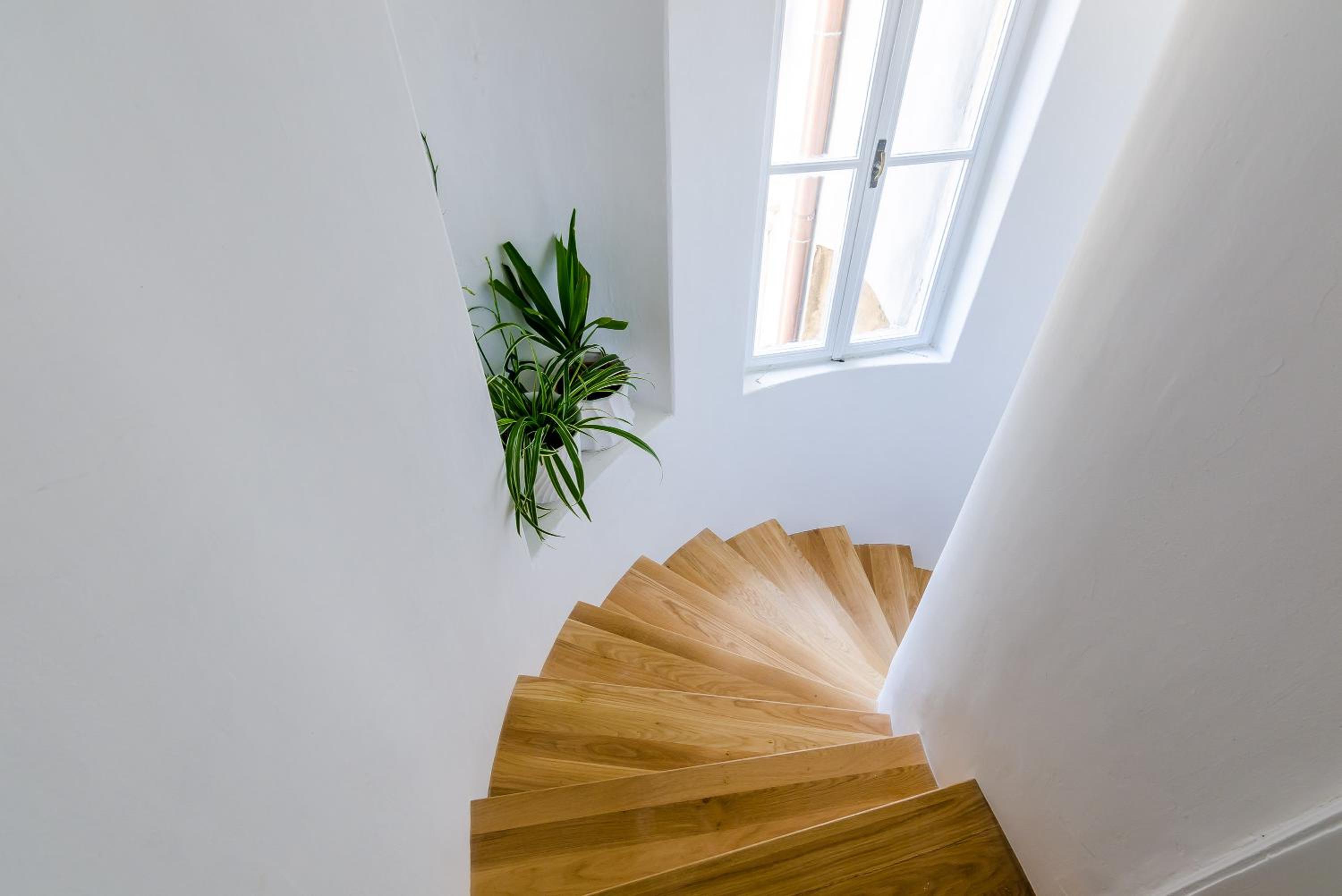 Villa Roma Dubrovnik Historic Apartments near Old Town